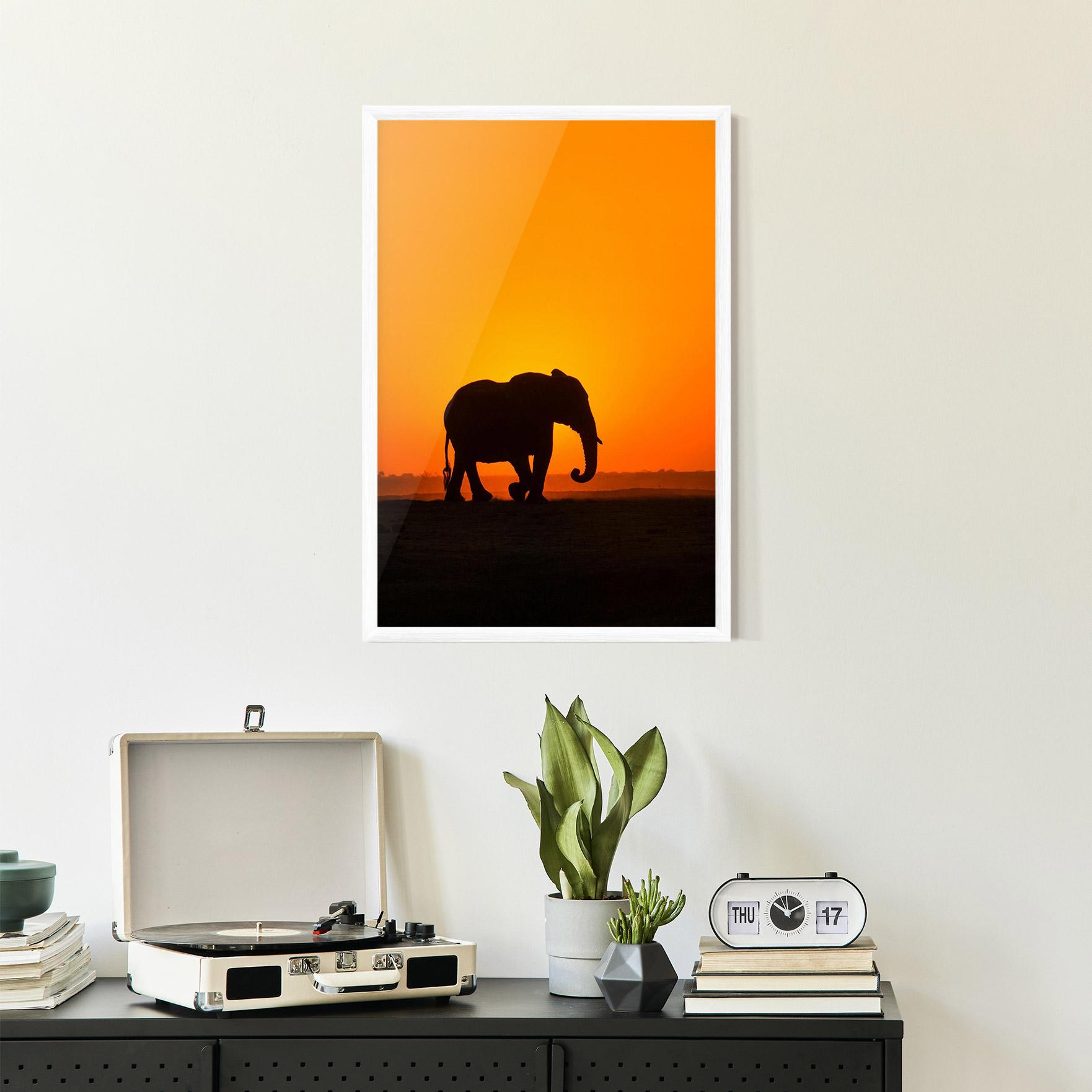 Keretezett Poszter Beautiful Elephant mockup 2