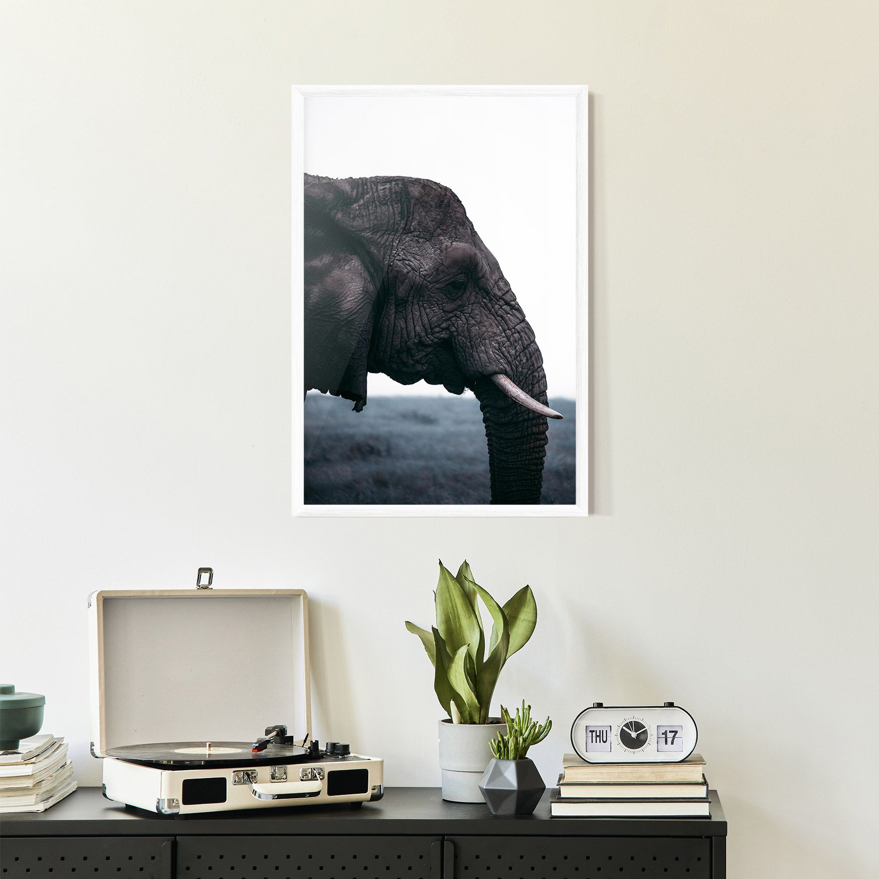 Close Grey Eelephant mockup 2