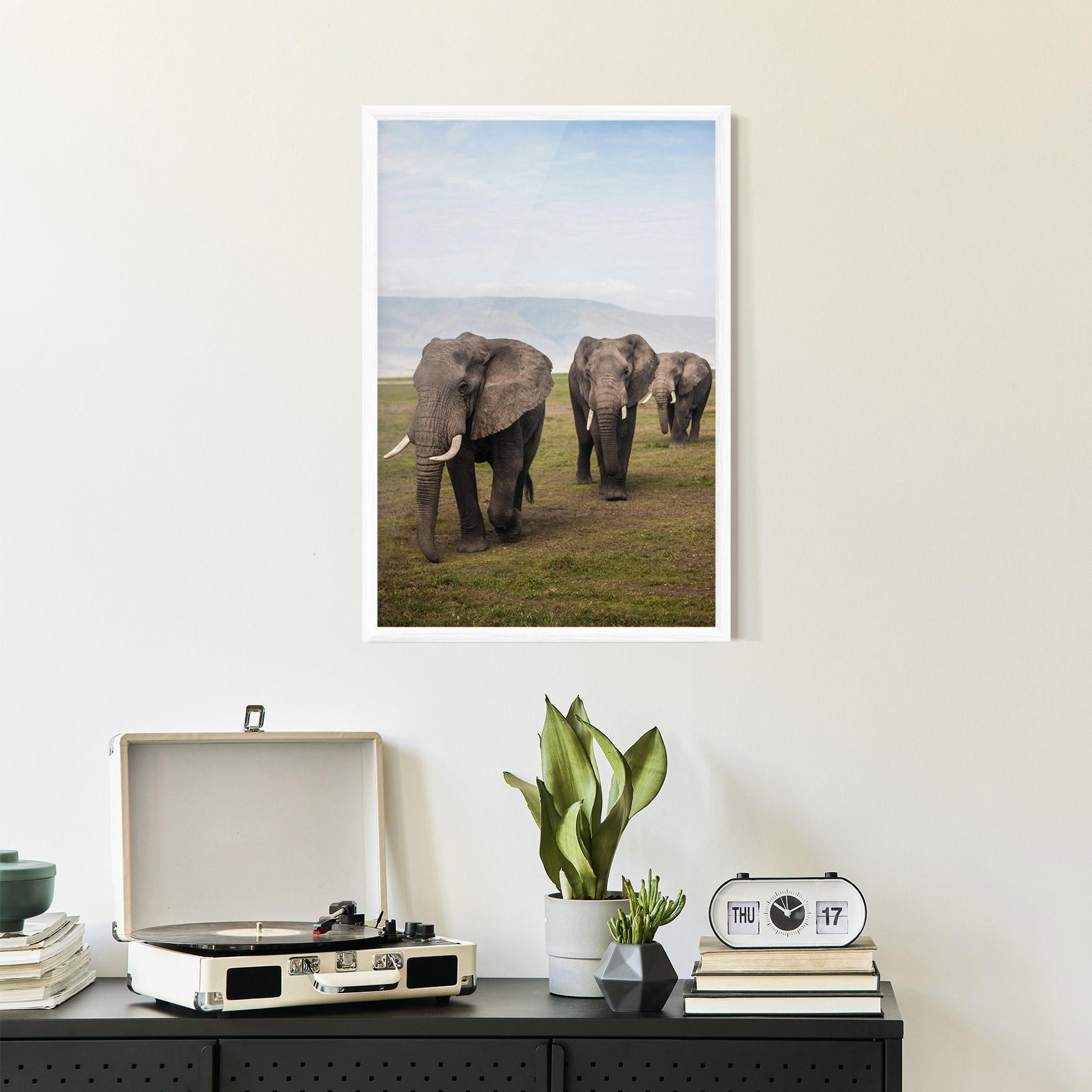 Keretezett Poszter Elephant Landscape mockup 2