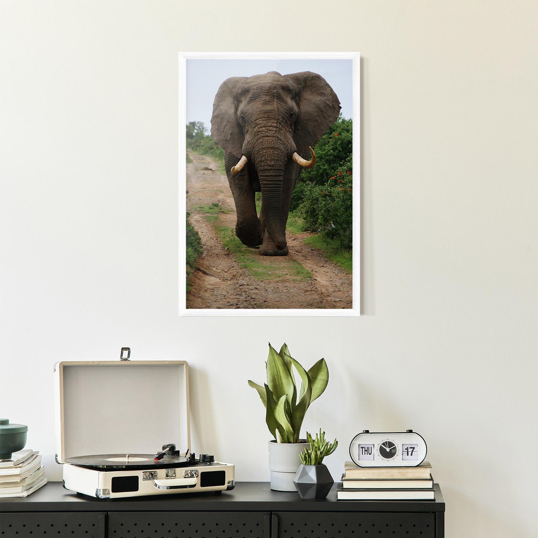 Keretezett Poszter Elephant Safari mockup 2