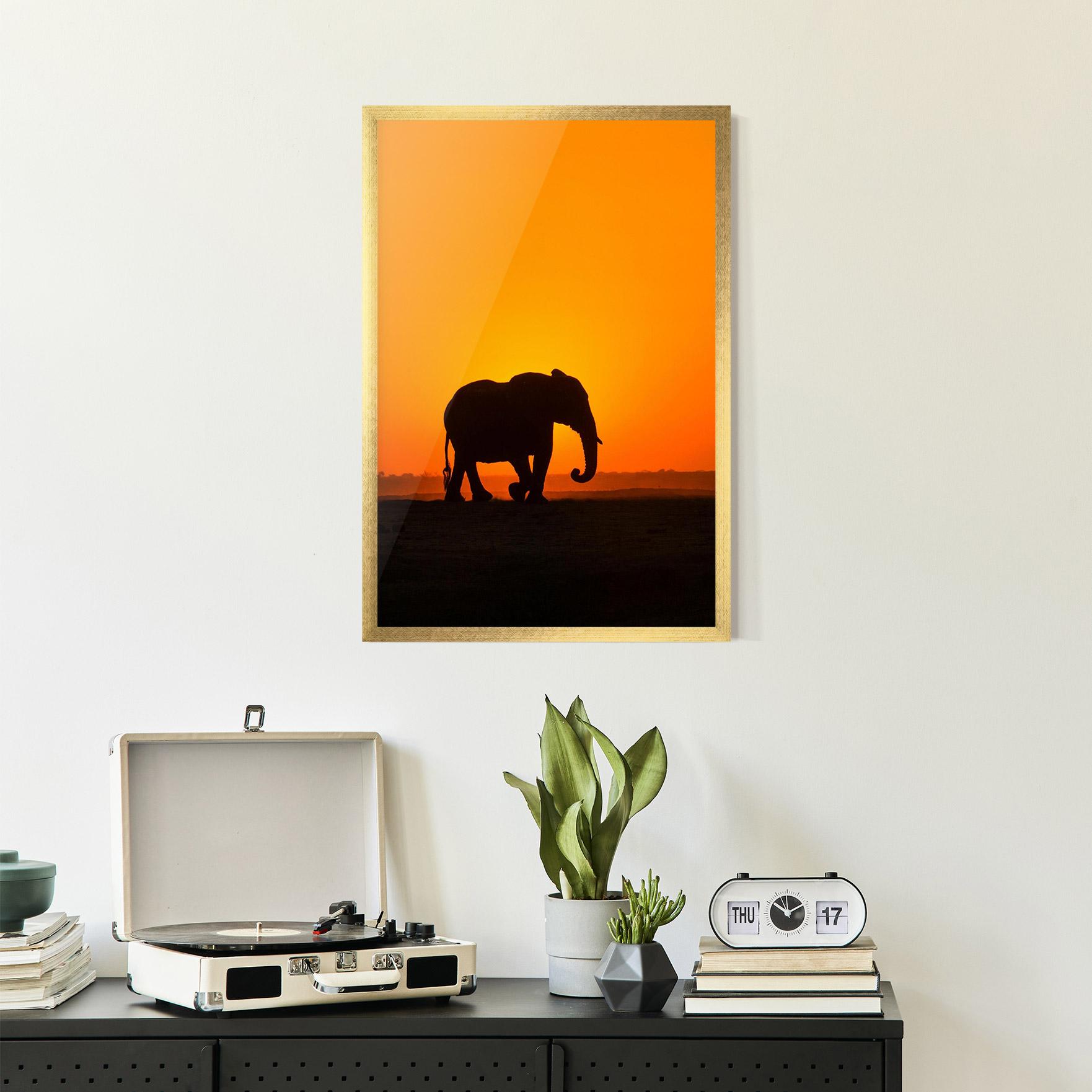 Keretezett Poszter Beautiful Elephant mockup 2