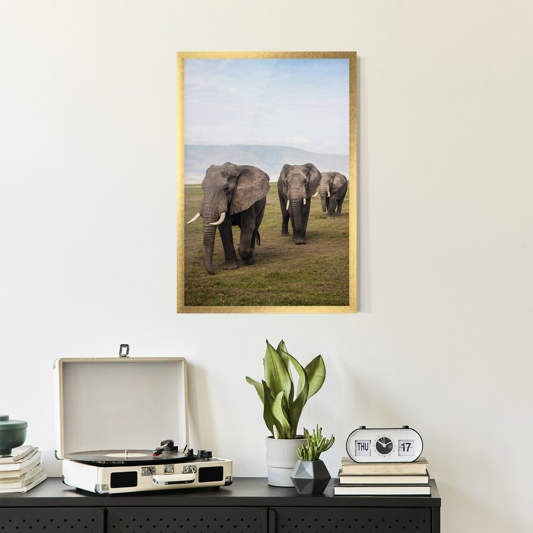 Keretezett Poszter Elephant Landscape mockup 2