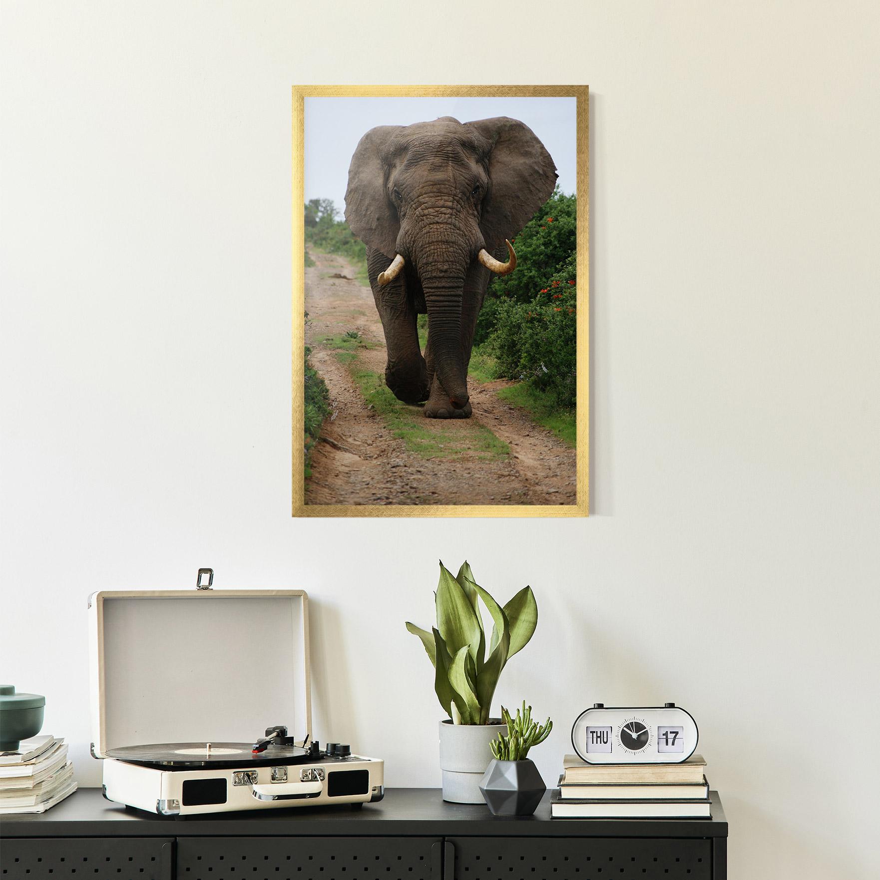 Keretezett Poszter Elephant Safari mockup 2