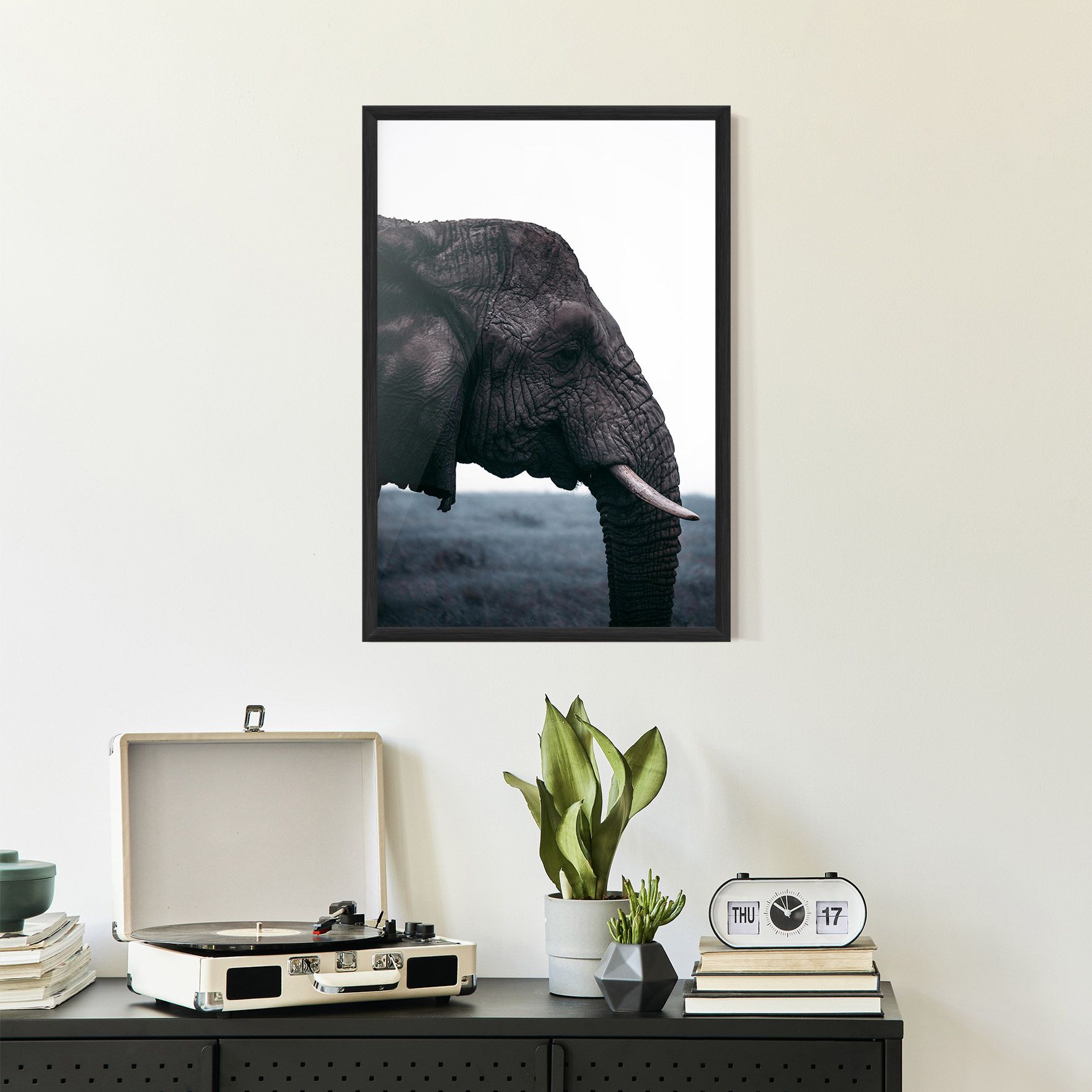Close Grey Eelephant mockup 2