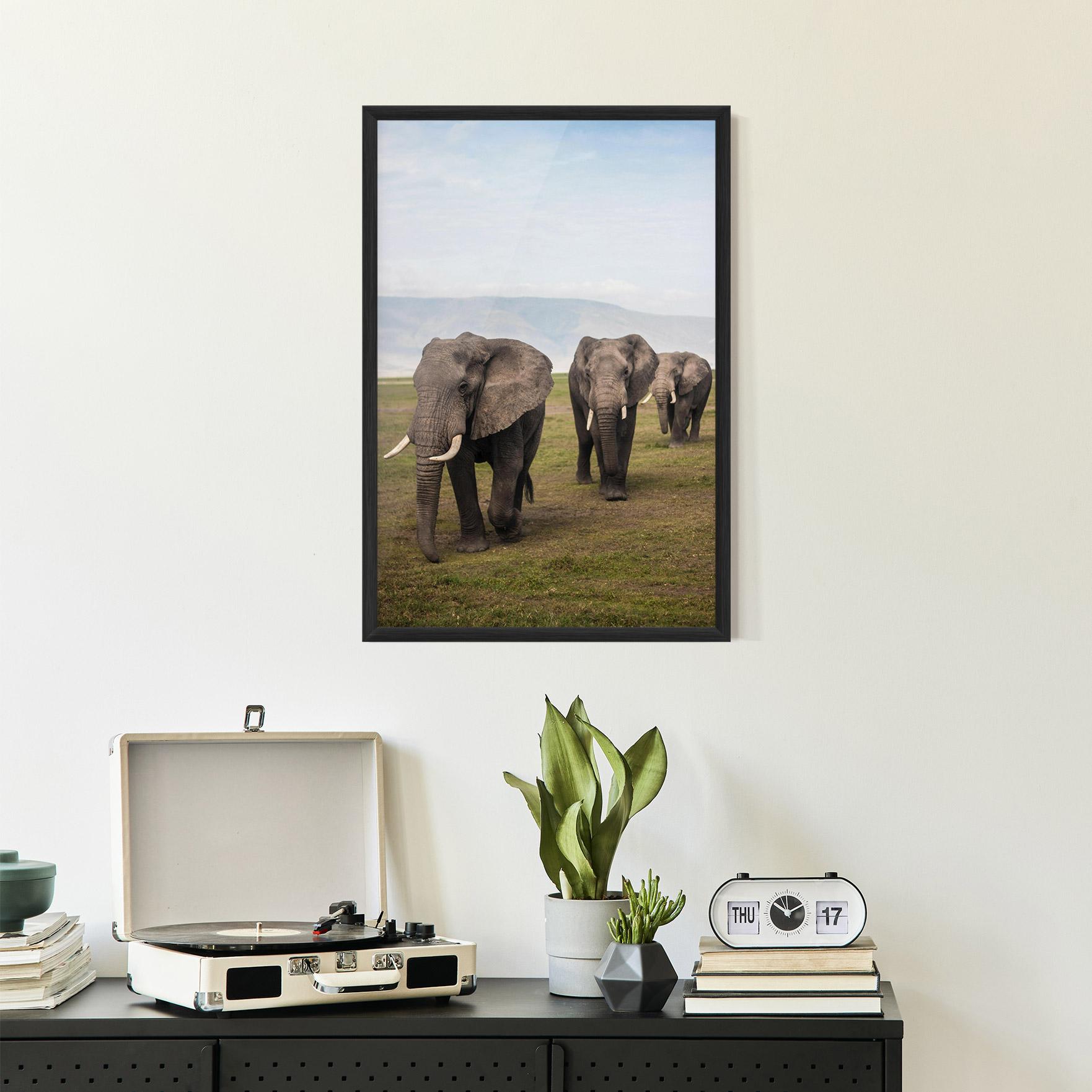 Keretezett Poszter Elephant Landscape mockup 2