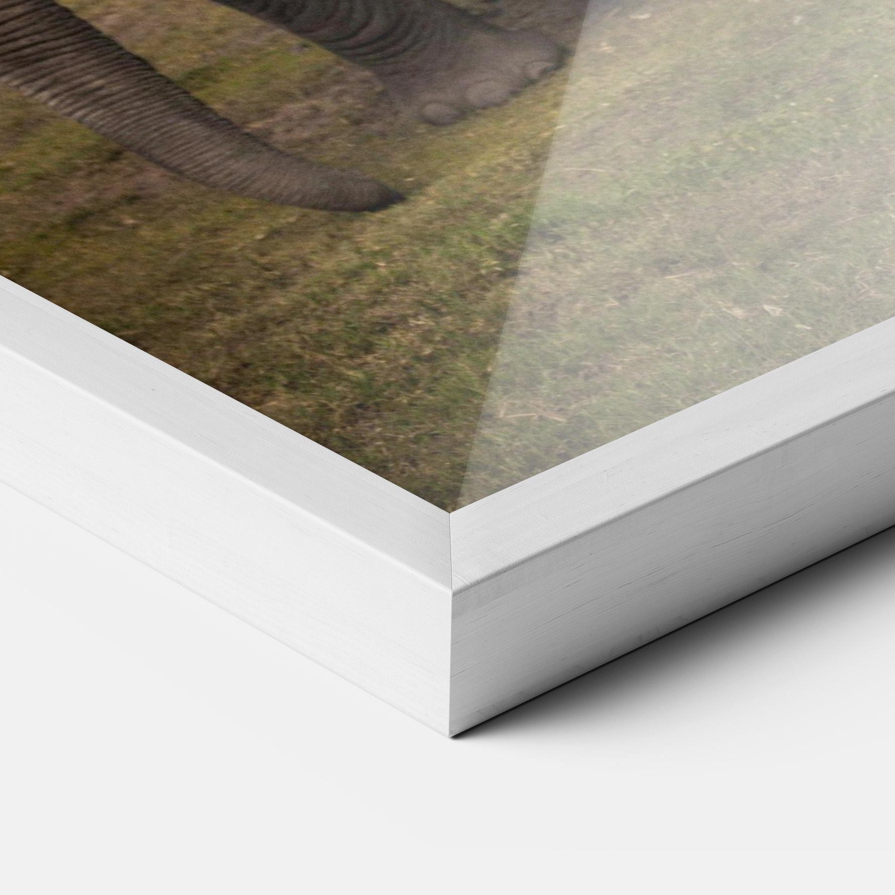 Keretezett Poszter Elephant Landscape mockup 3