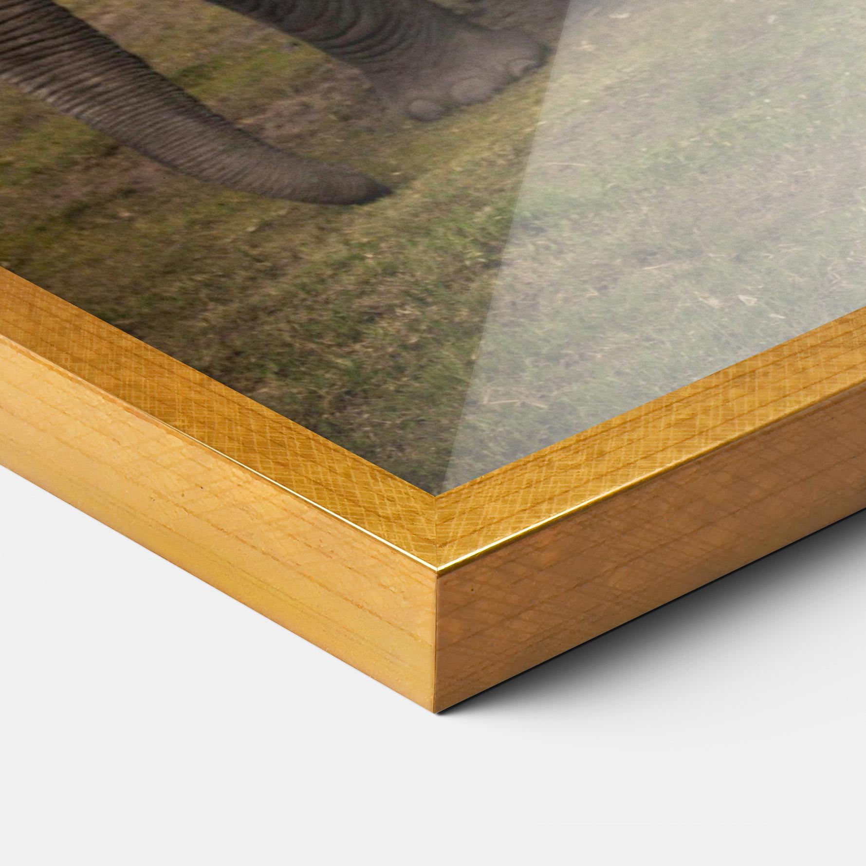 Keretezett Poszter Elephant Landscape mockup 3