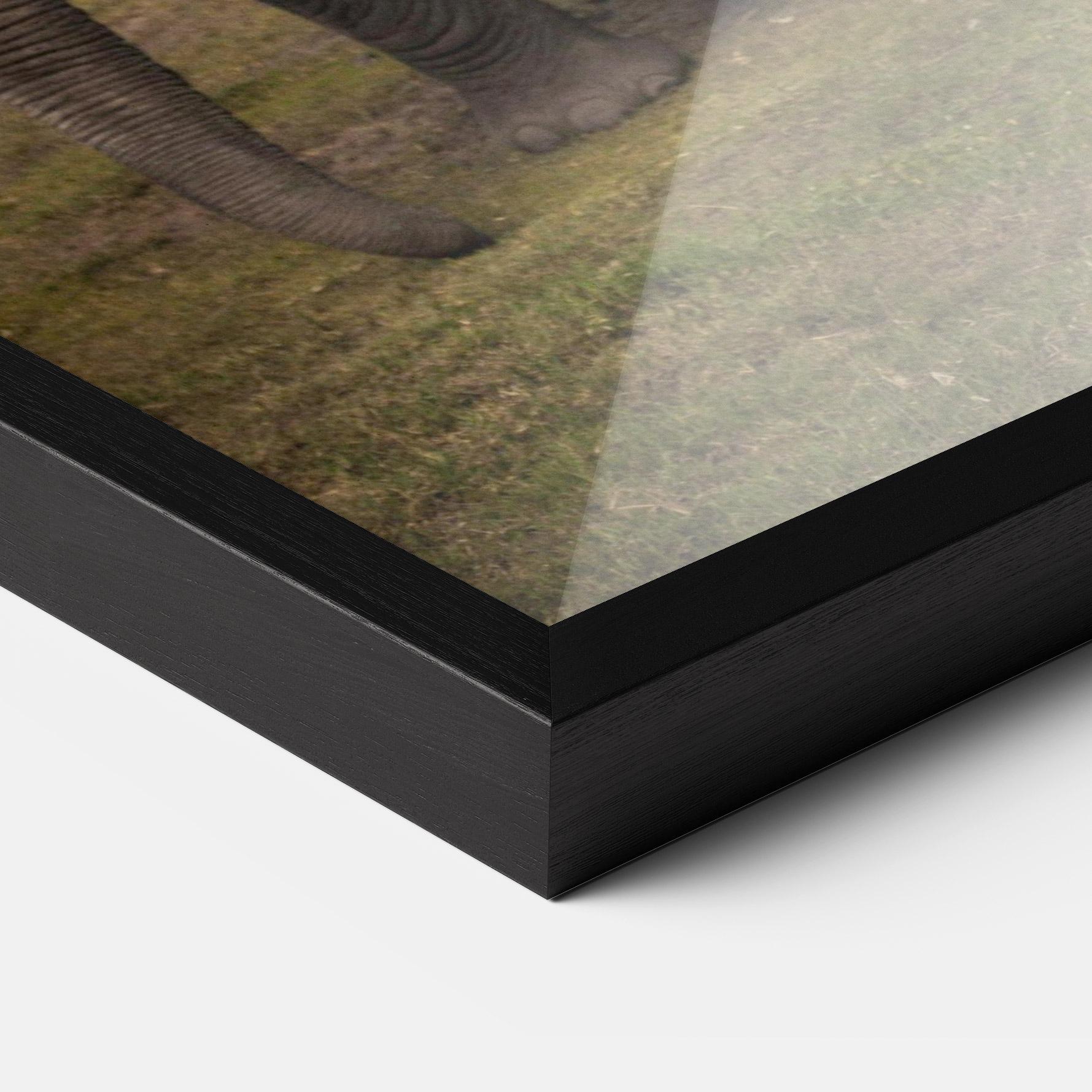 Keretezett Poszter Elephant Landscape mockup 3