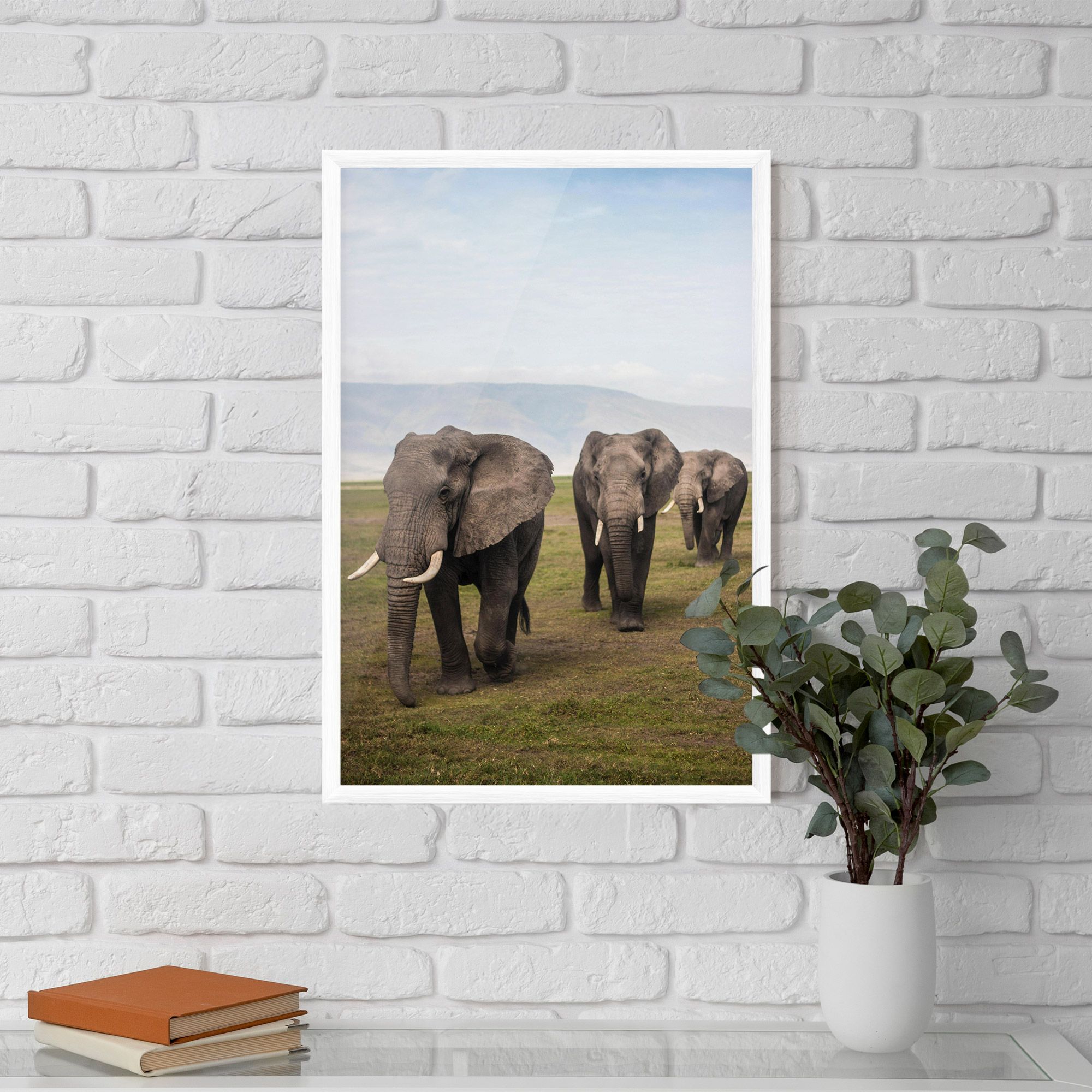 Elephant Landscape mockup 5