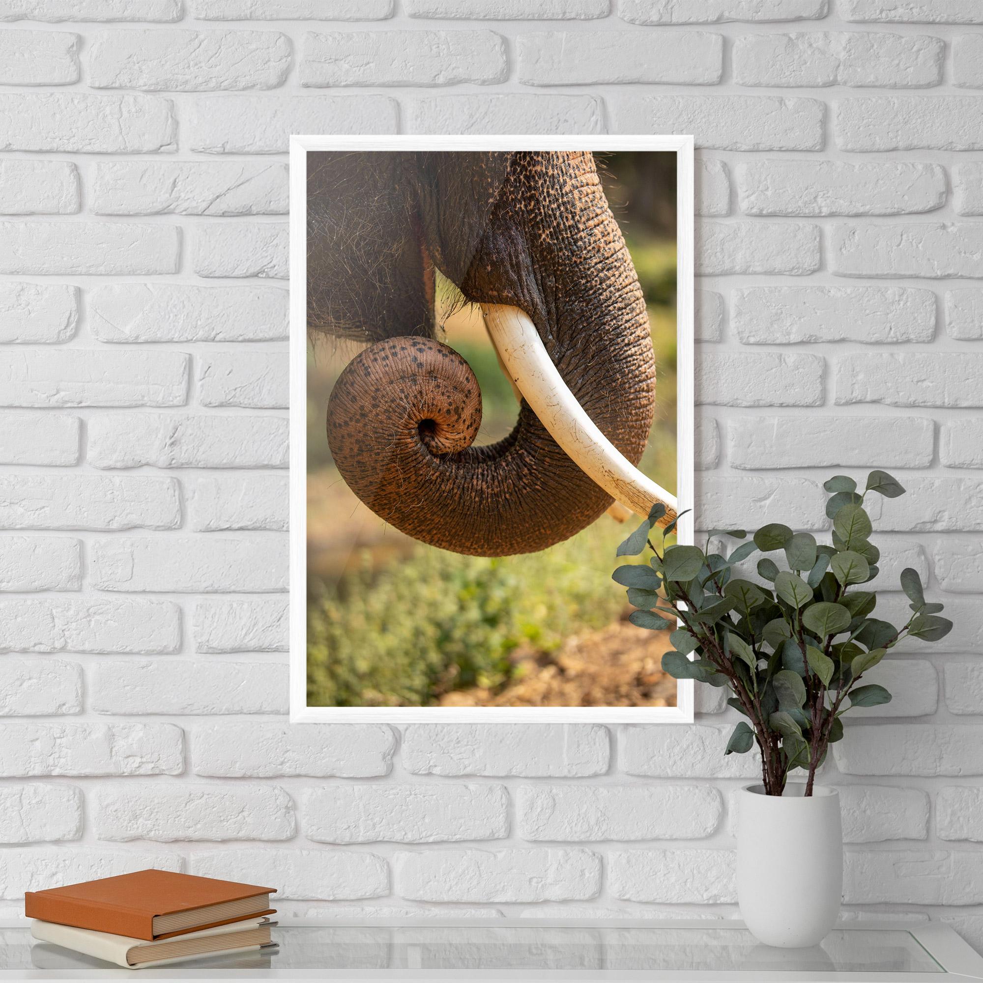 Keretezett Poszter Elephant Mouth Close Up mockup 5