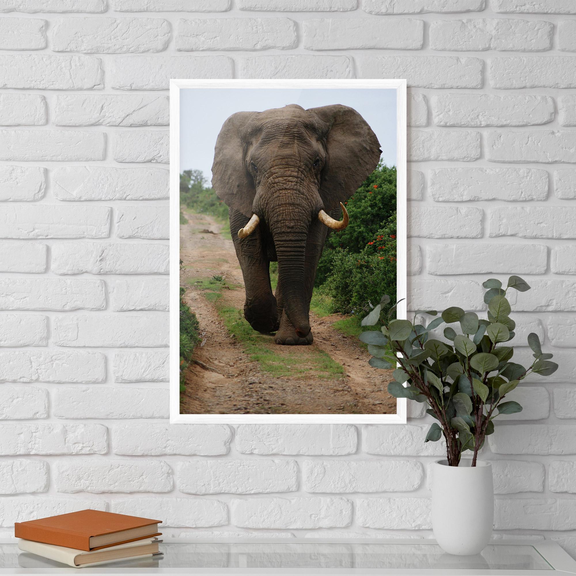 Keretezett Poszter Elephant Safari mockup 5