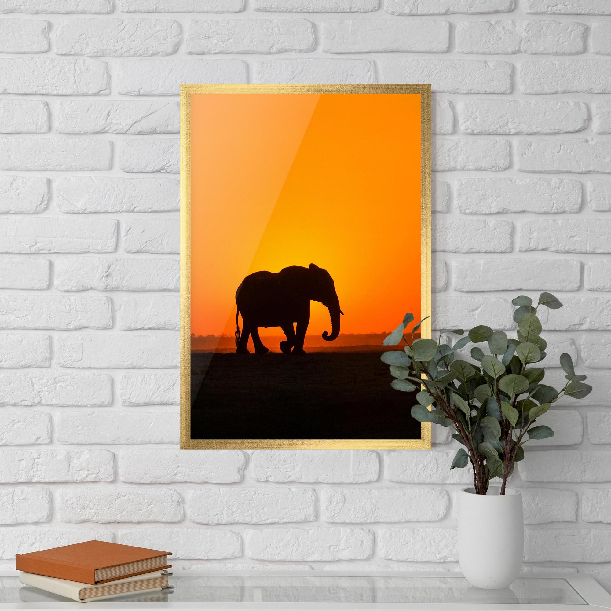 Keretezett Poszter Beautiful Elephant mockup 5