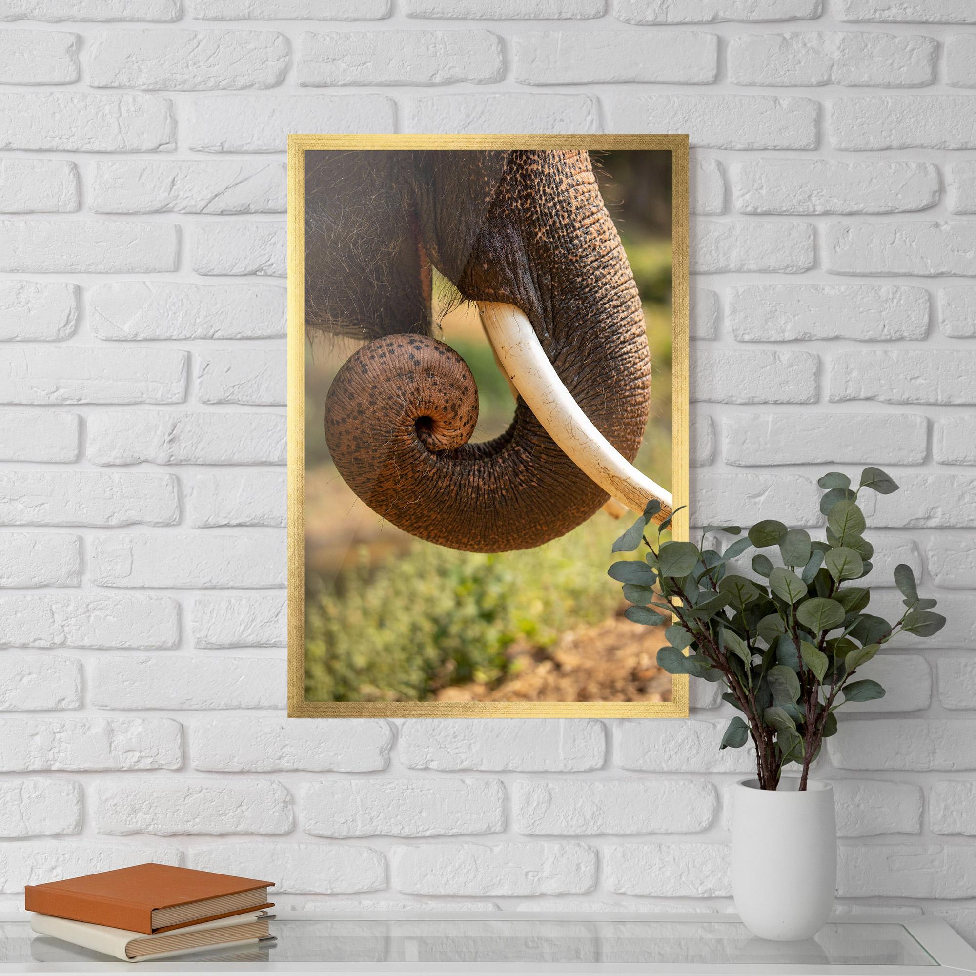 Keretezett Poszter Elephant Mouth Close Up mockup 5