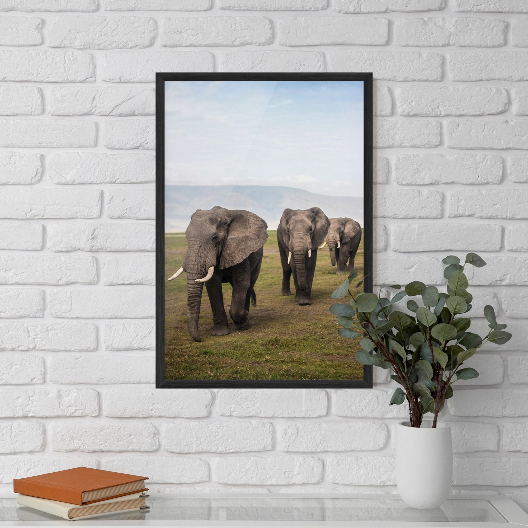 Elephant Landscape mockup 5
