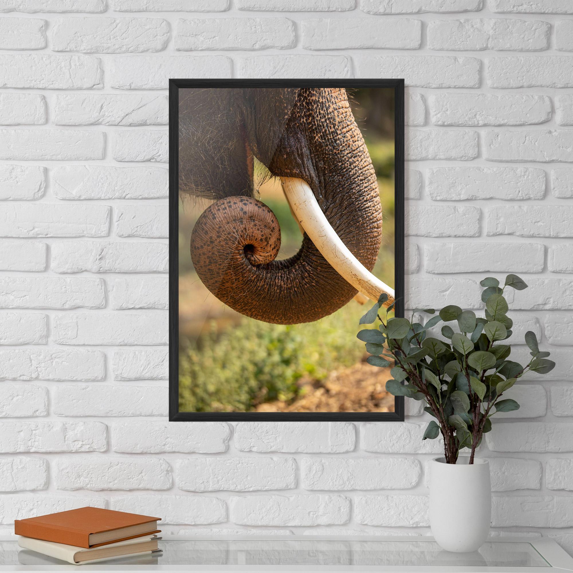 Keretezett Poszter Elephant Mouth Close Up mockup 5