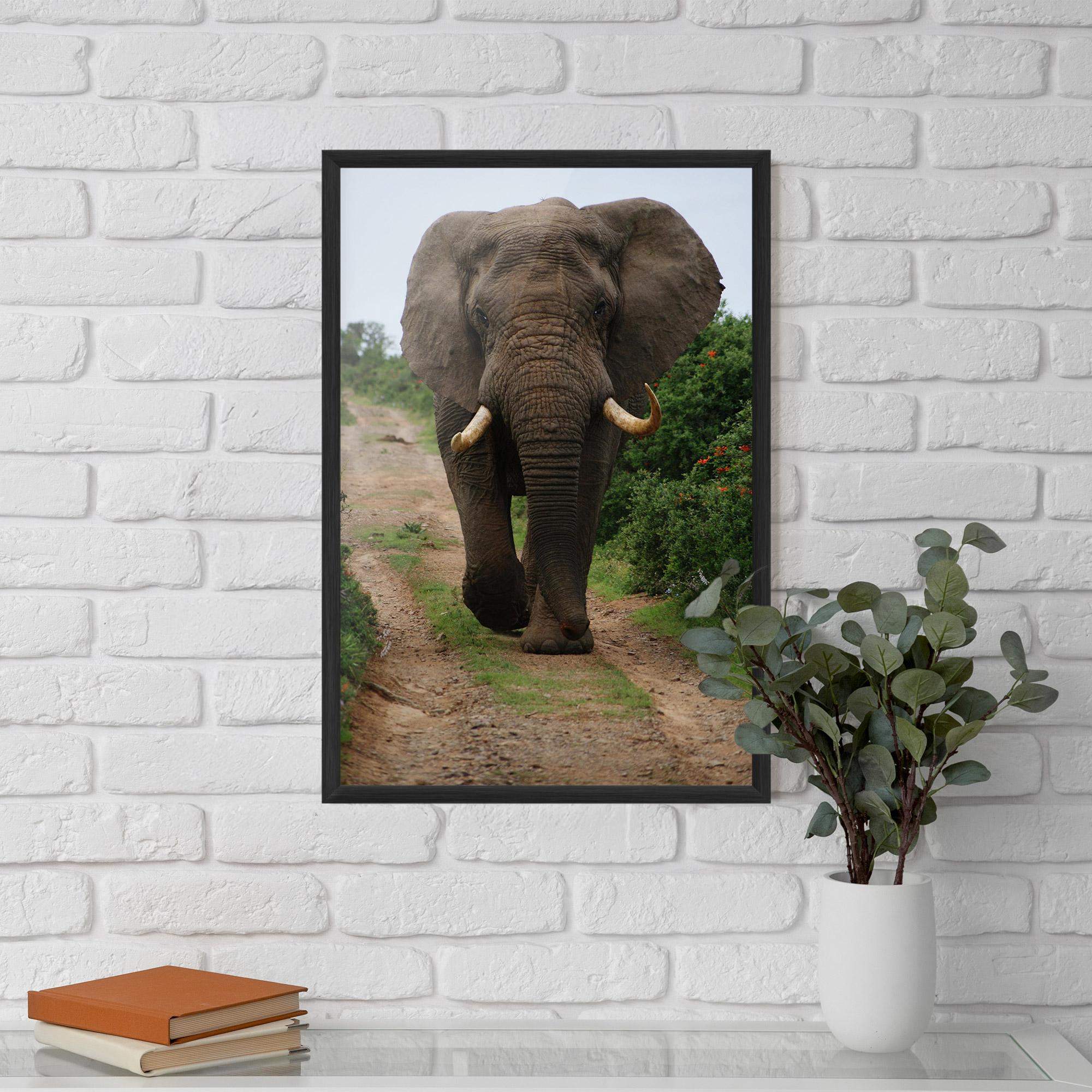 Keretezett Poszter Elephant Safari mockup 5
