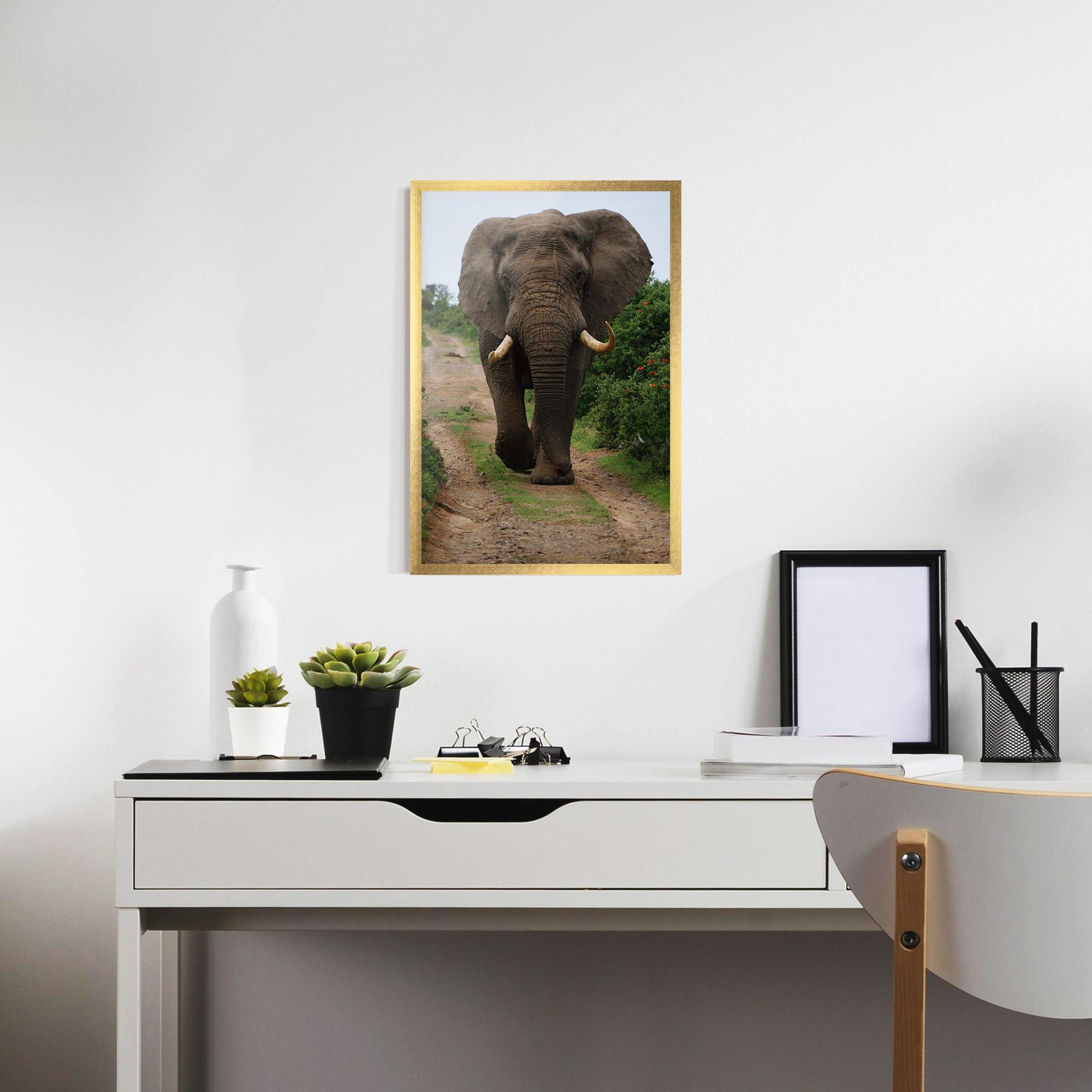 Keretezett Poszter Elephant Safari mockup 7
