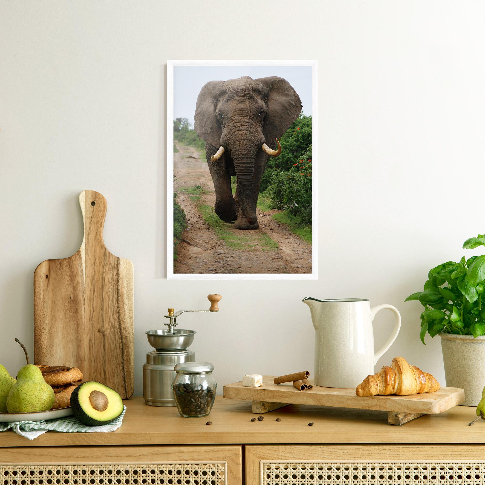 Keretezett Poszter Elephant Safari mockup 8