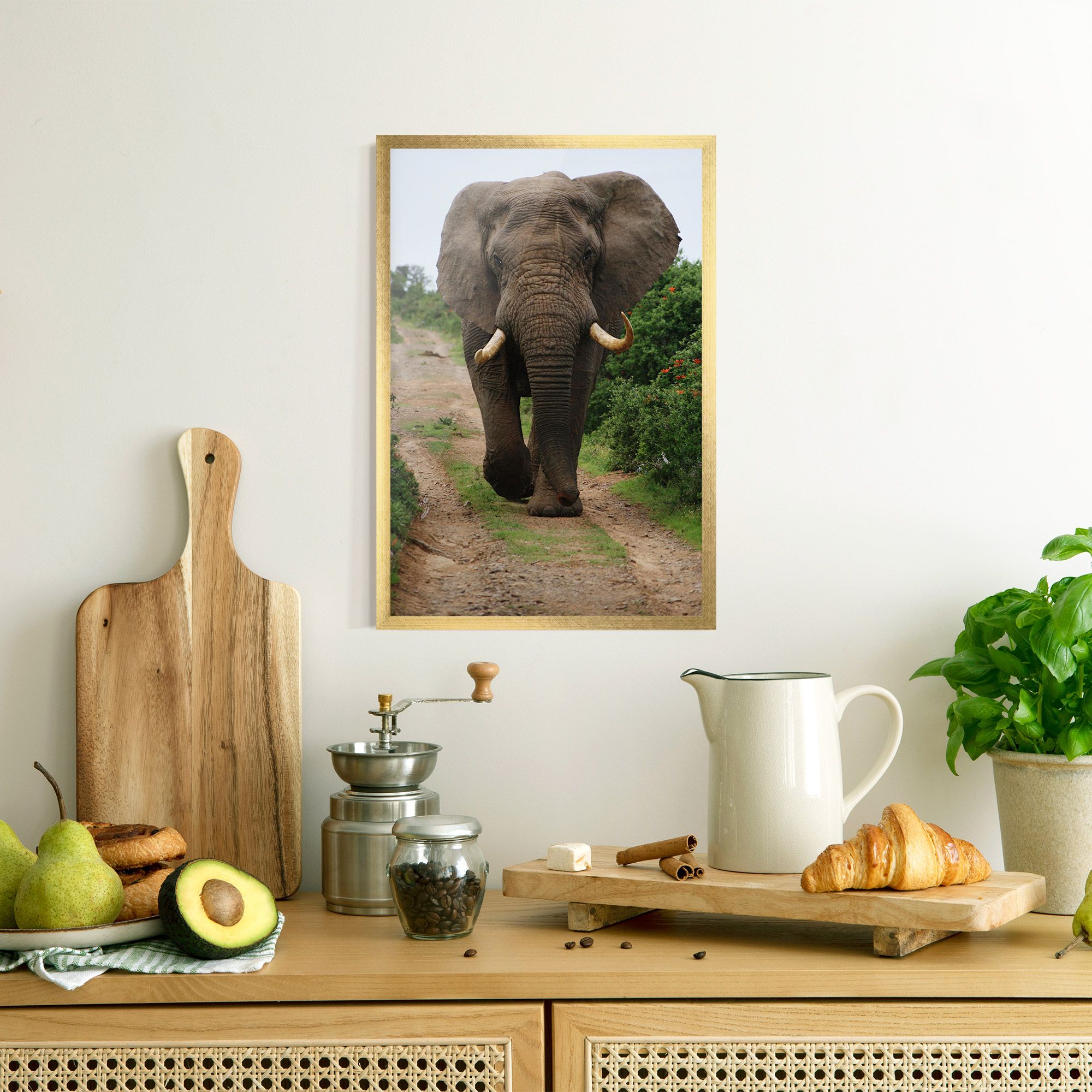 Elephant Safari mockup 8