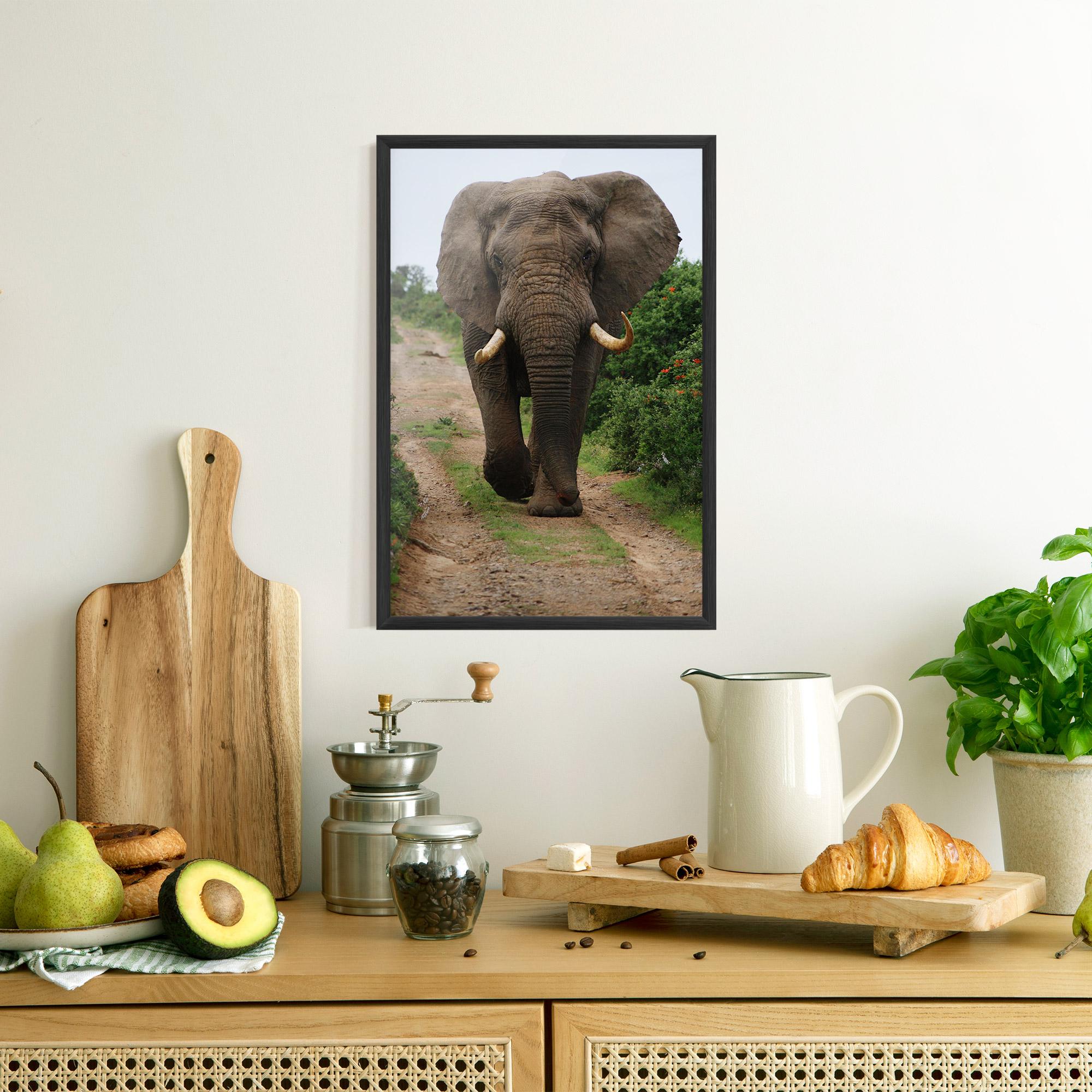 Keretezett Poszter Elephant Safari mockup 8