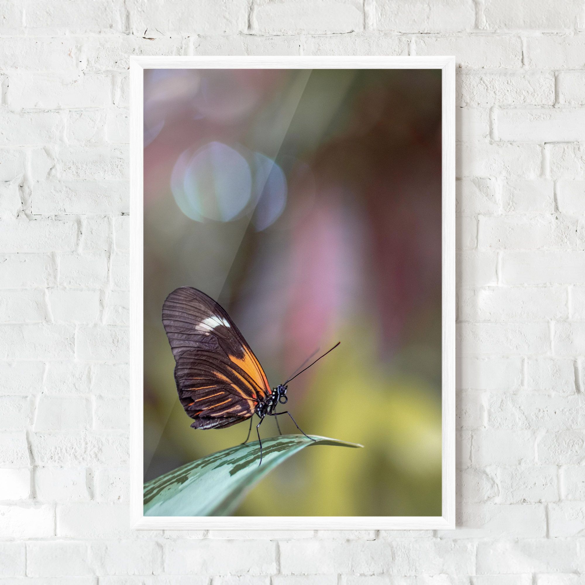 Dark Purple Butterfly mockup 0