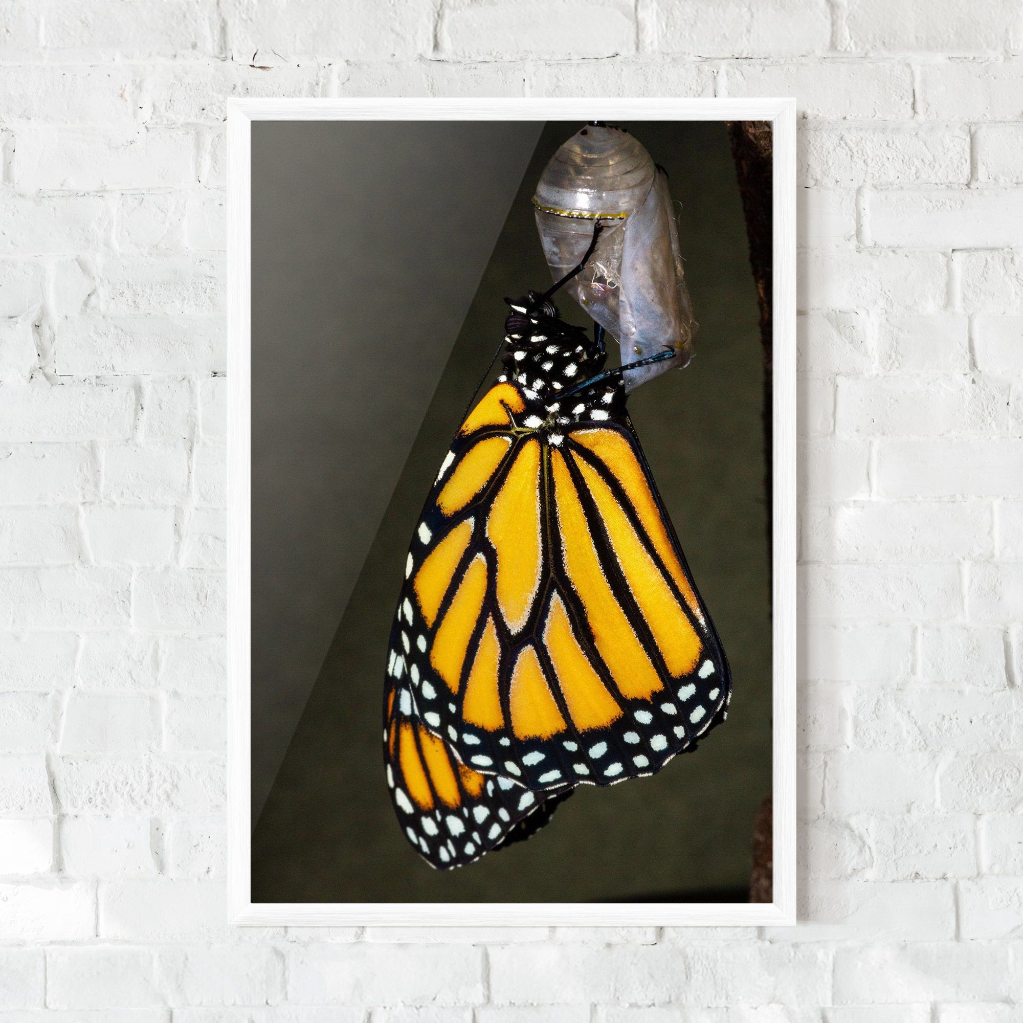 Dark Yellow Butterfly mockup 0