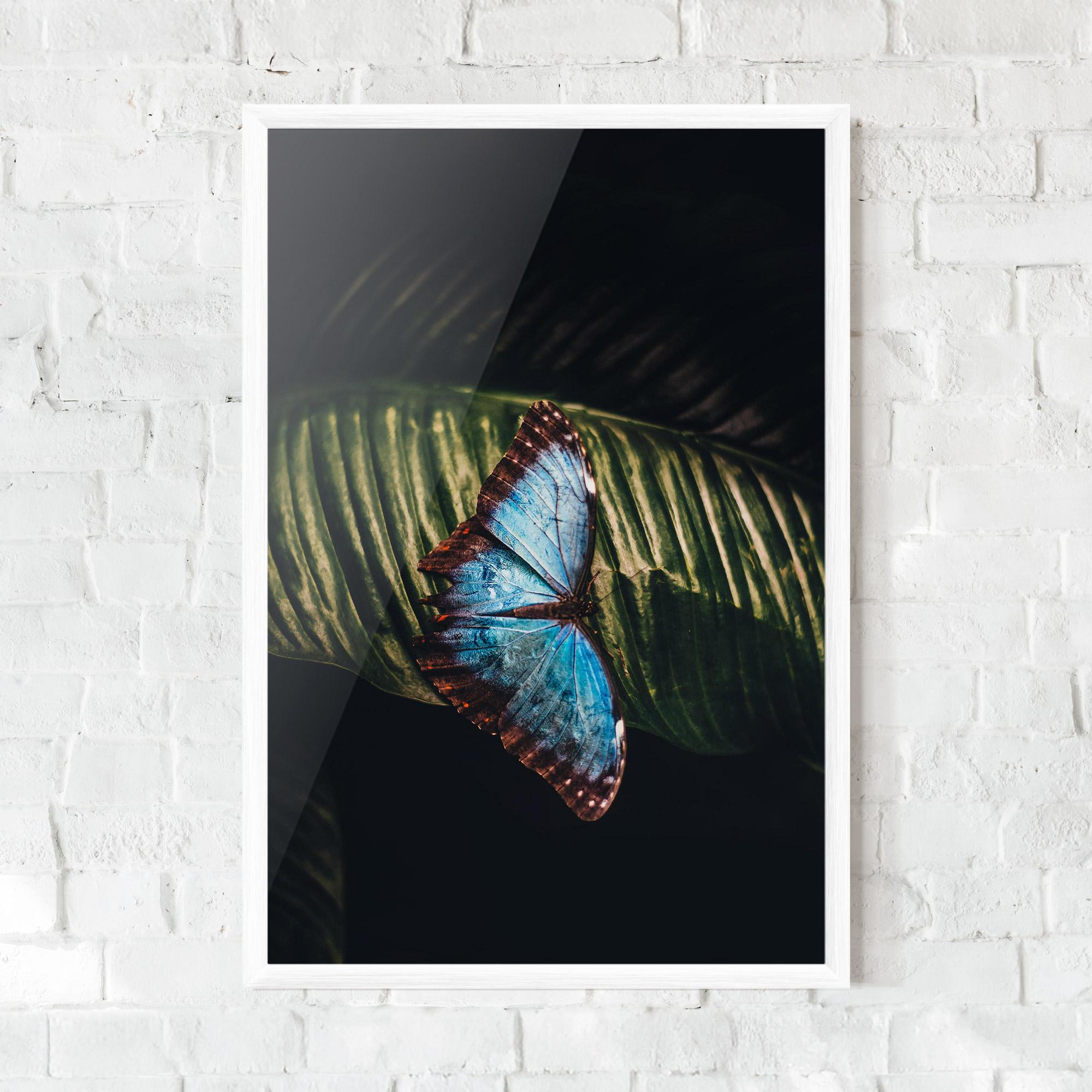 Keretezett Poszter Light Blue Butterfly mockup 0