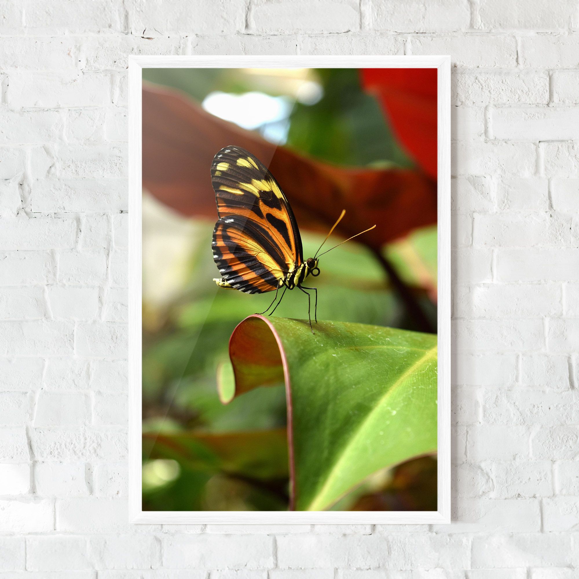 Orange Yellow Butterfly mockup 0