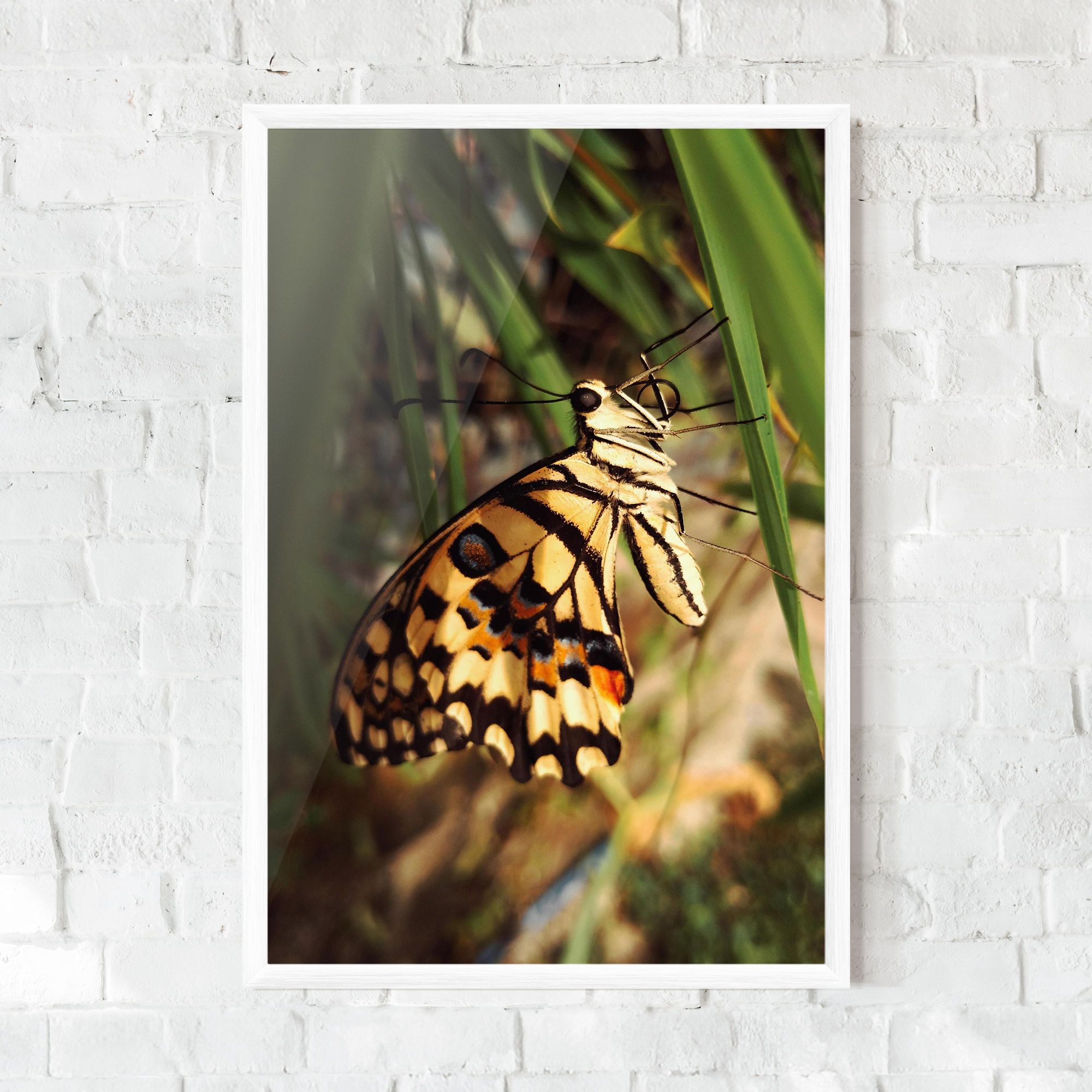 Wild Brown Butterfly mockup 0