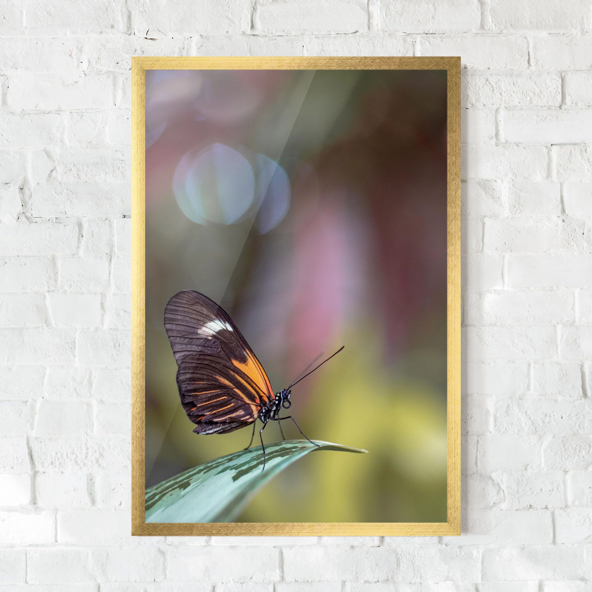 Dark Purple Butterfly mockup 0