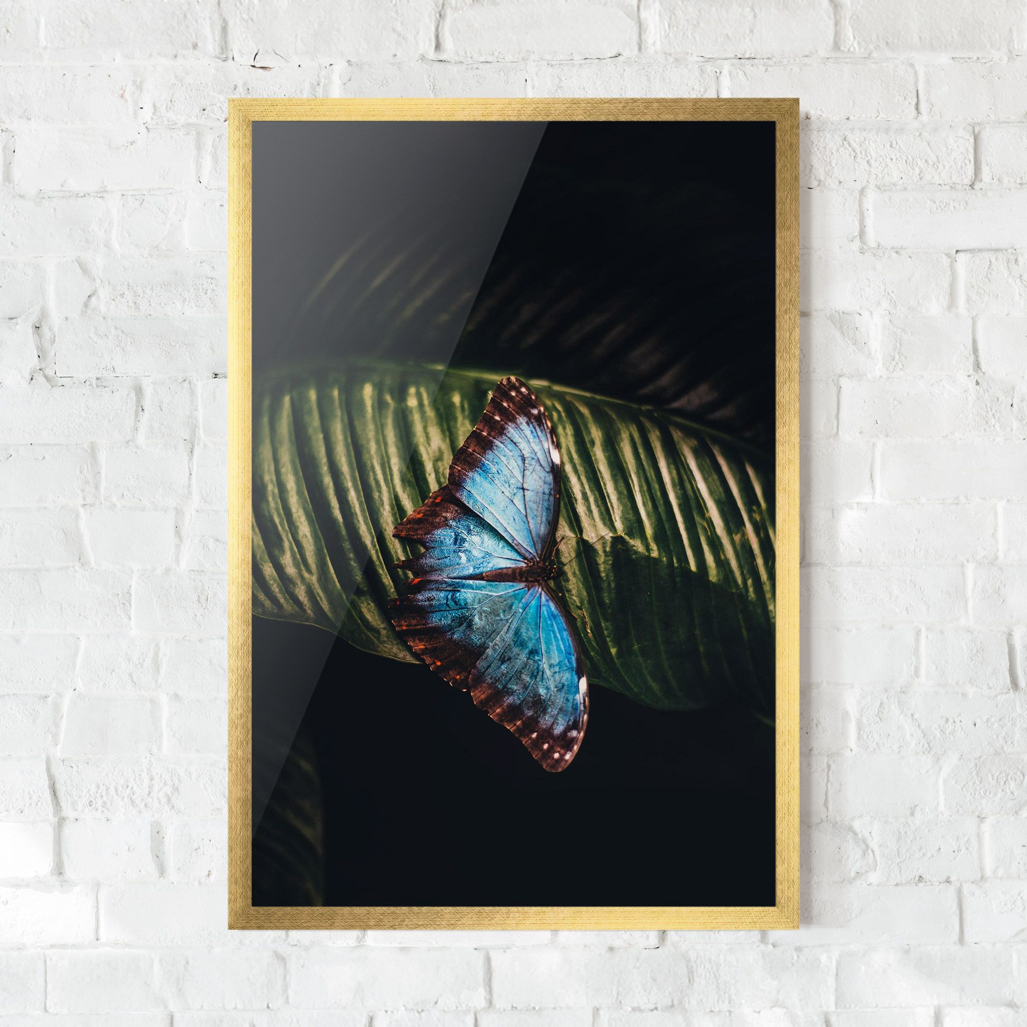 Light Blue Butterfly mockup 0