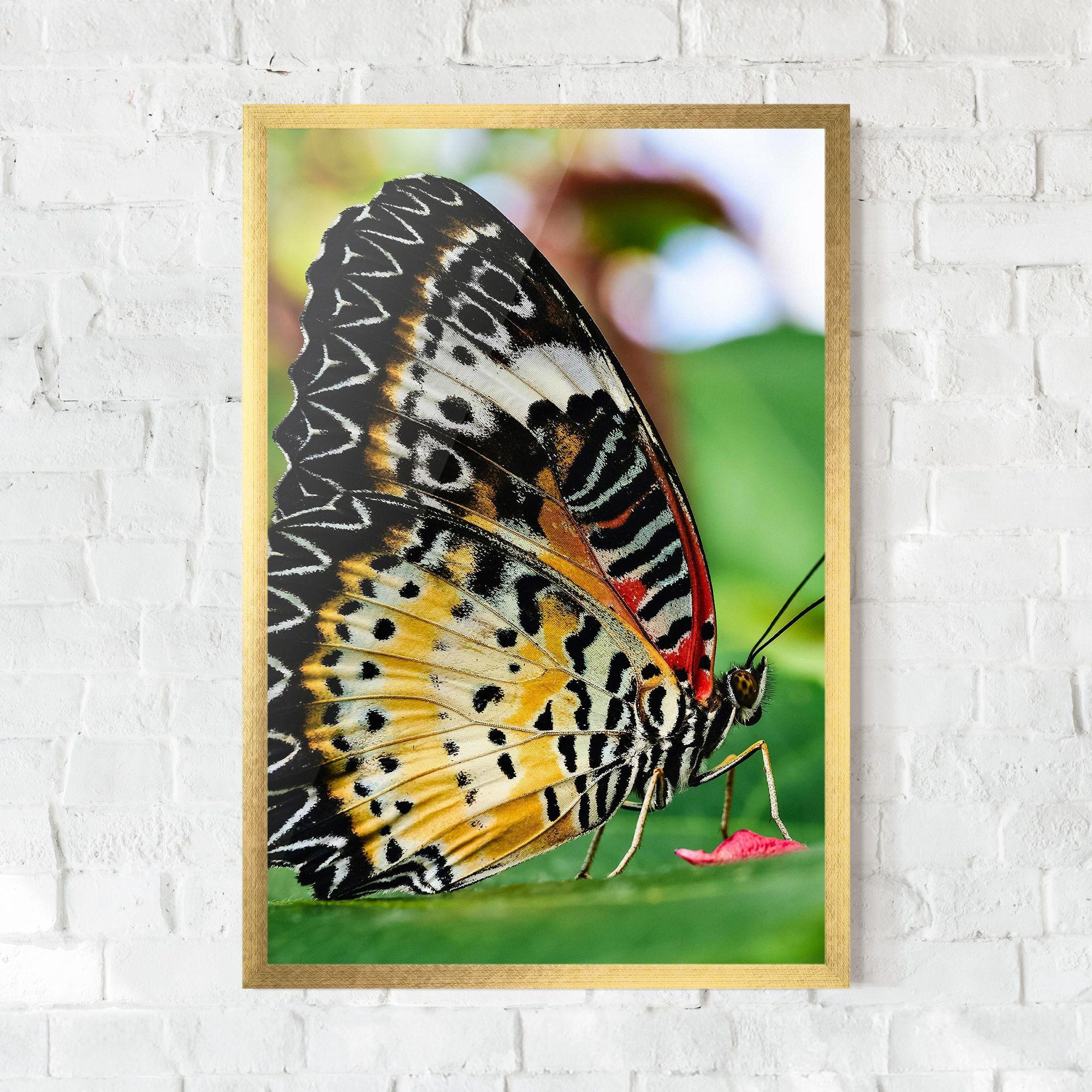 Pretty Colorful Butterfly mockup 0