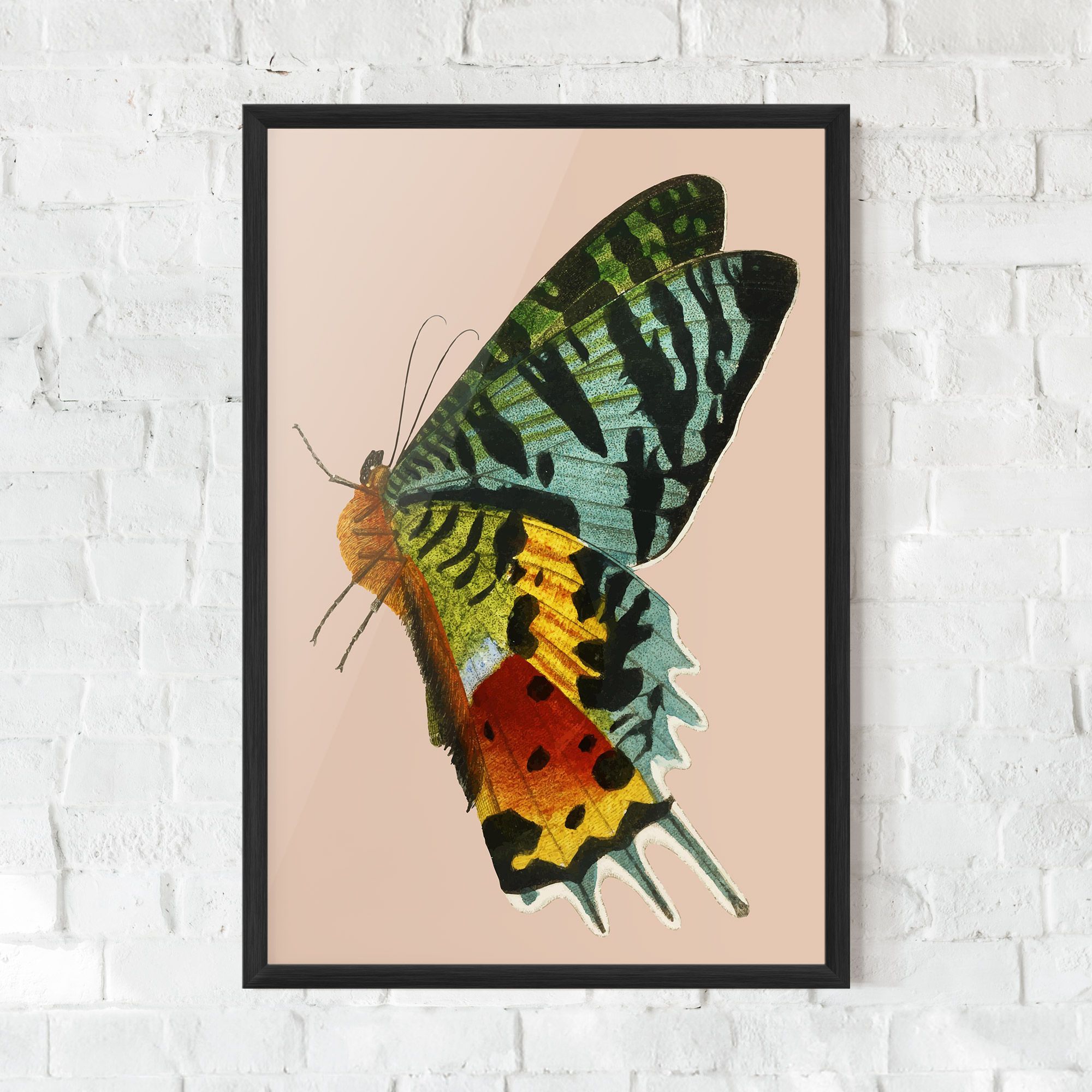 Butterfly On Pink mockup 0