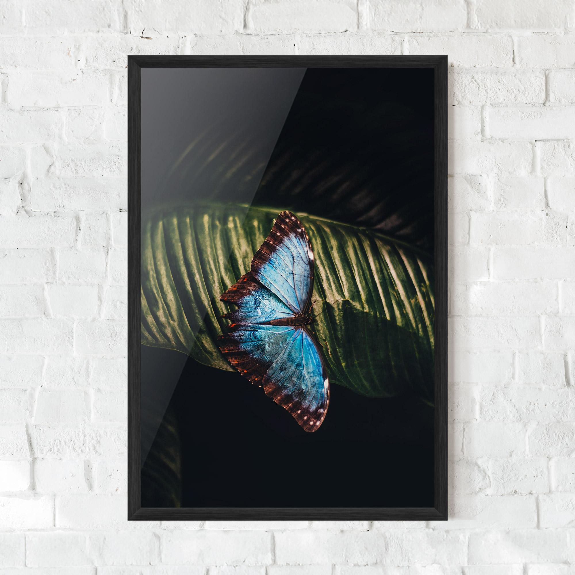 Keretezett Poszter Light Blue Butterfly mockup 0