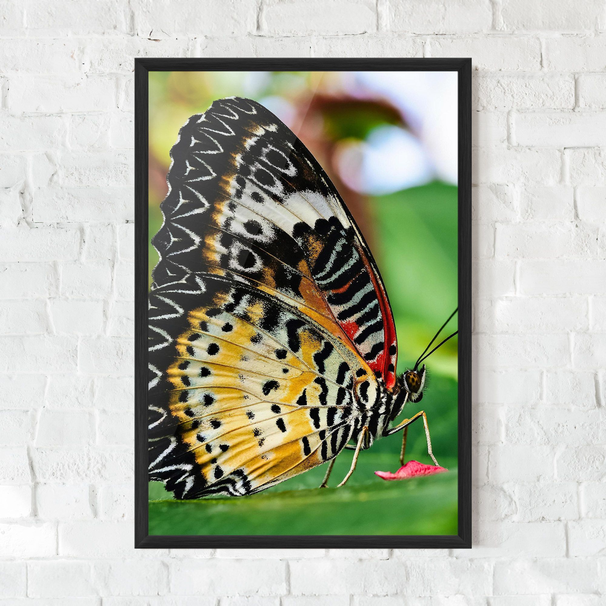 Pretty Colorful Butterfly mockup 0