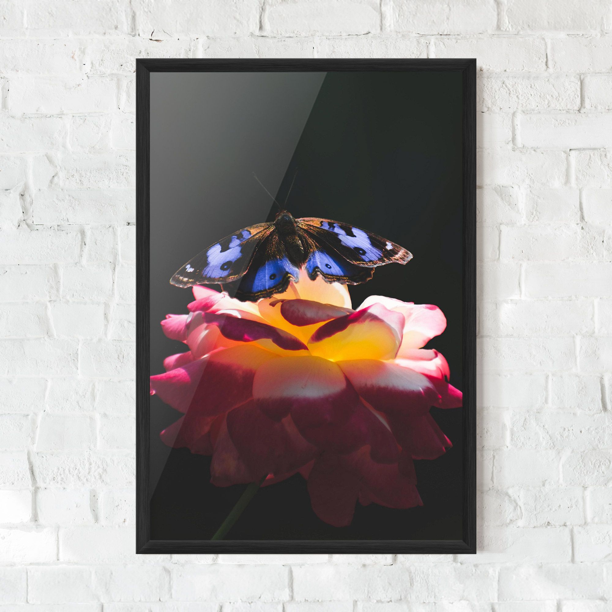 Rose Butterfly mockup 0