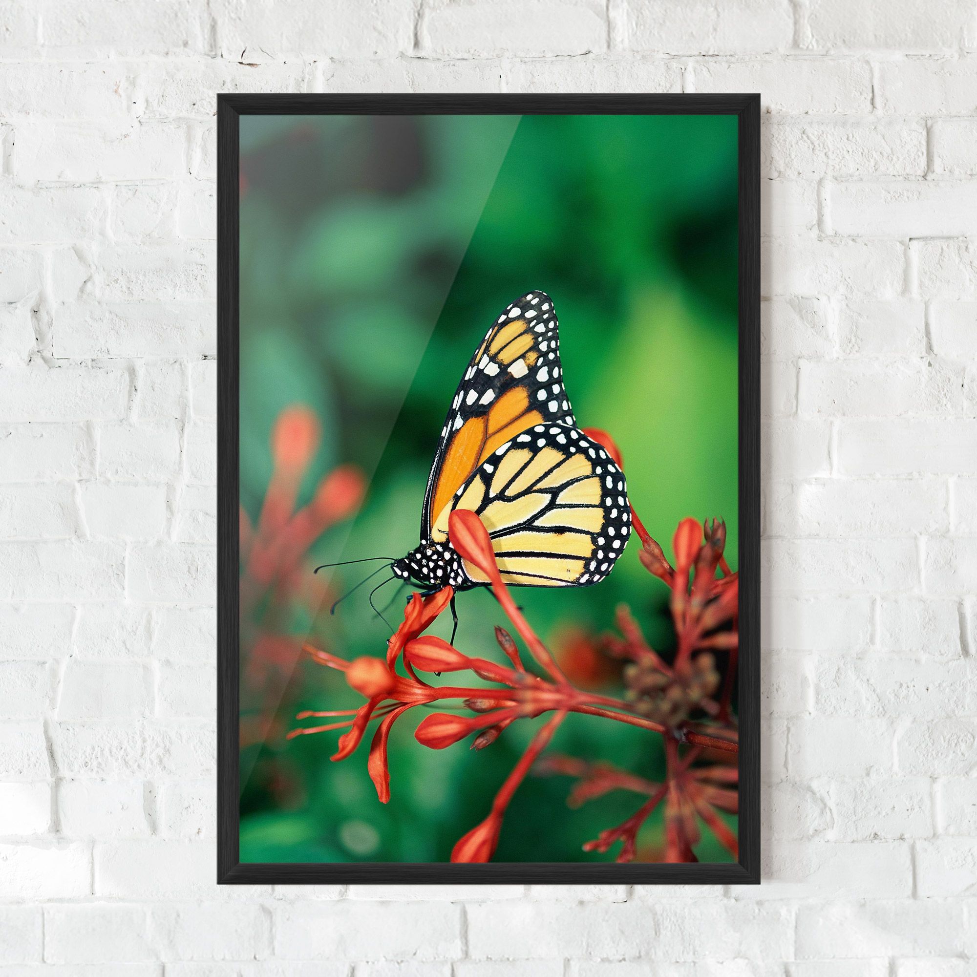 Small Orange Butterfly mockup 0