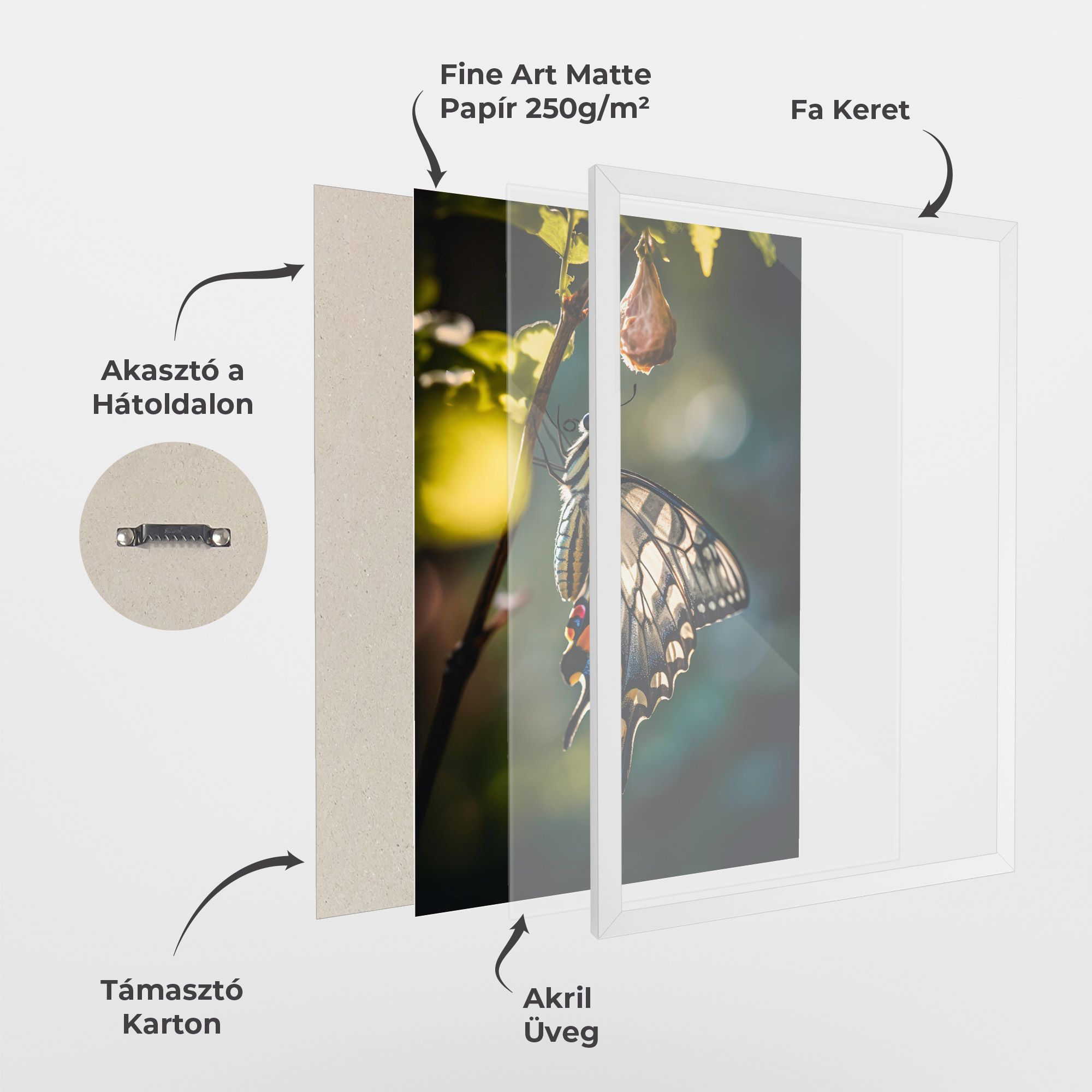 Blue Cream Butterfly mockup 1