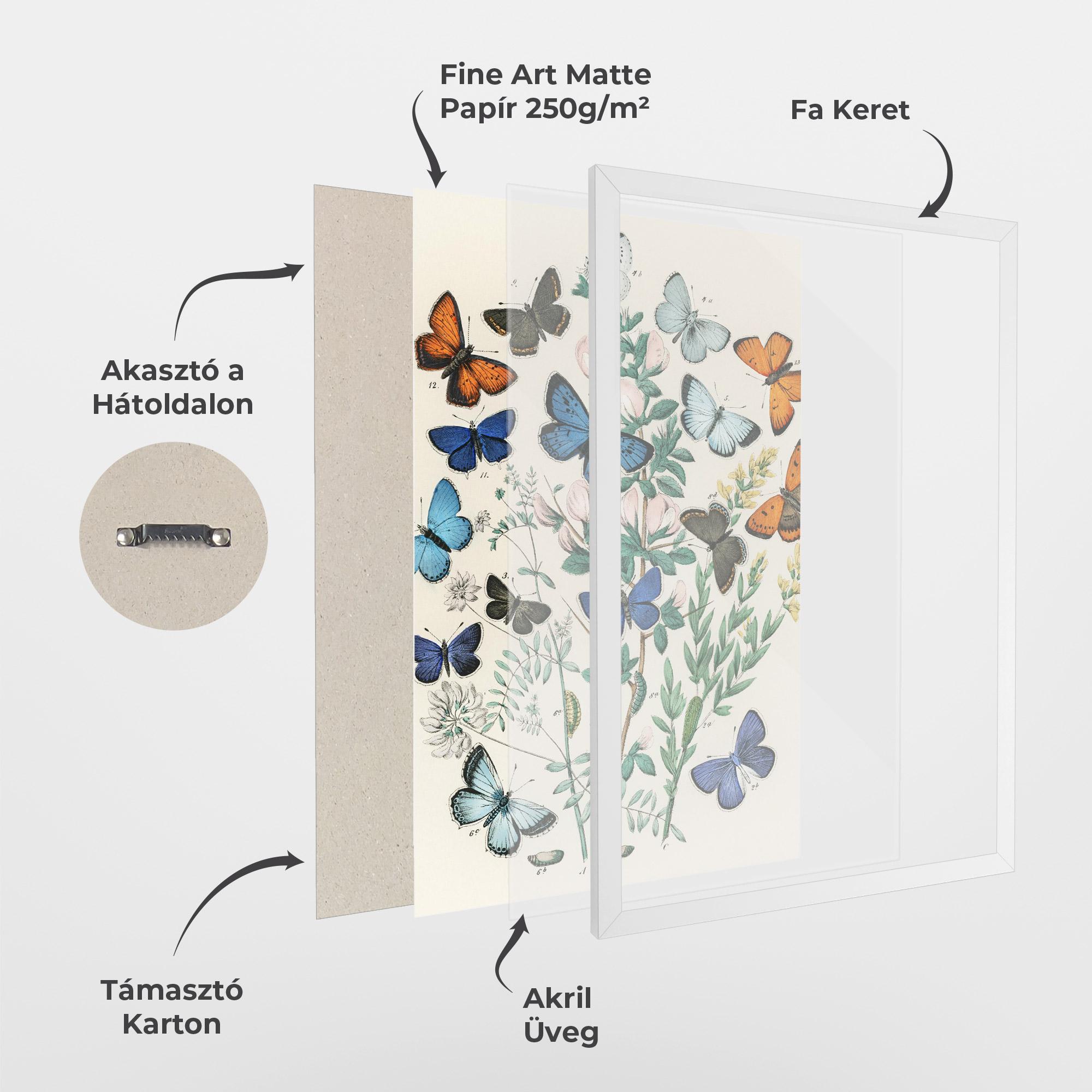 Keretezett Poszter Blue Orange Butterflies mockup 1