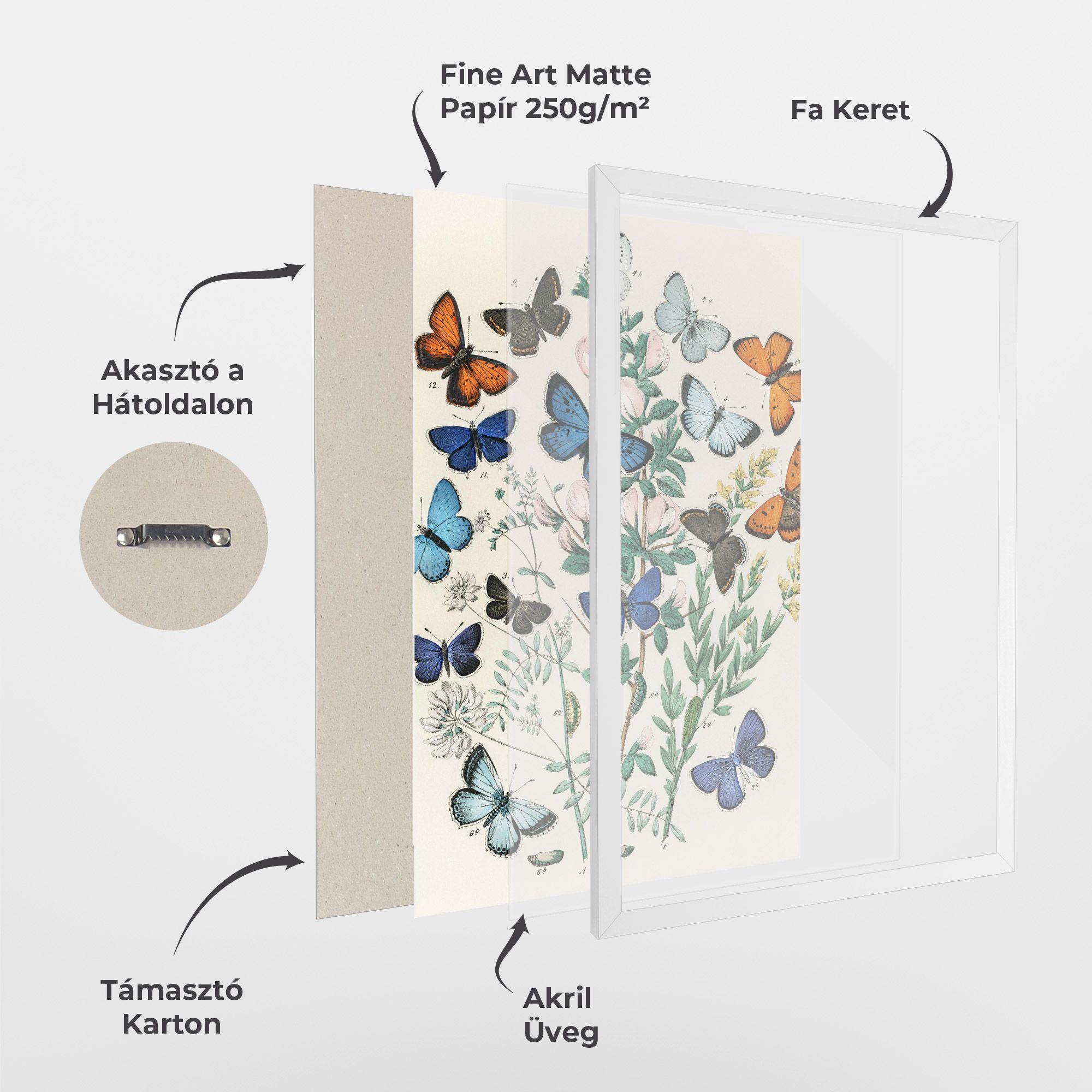 Blue Orange Butterflies mockup 1