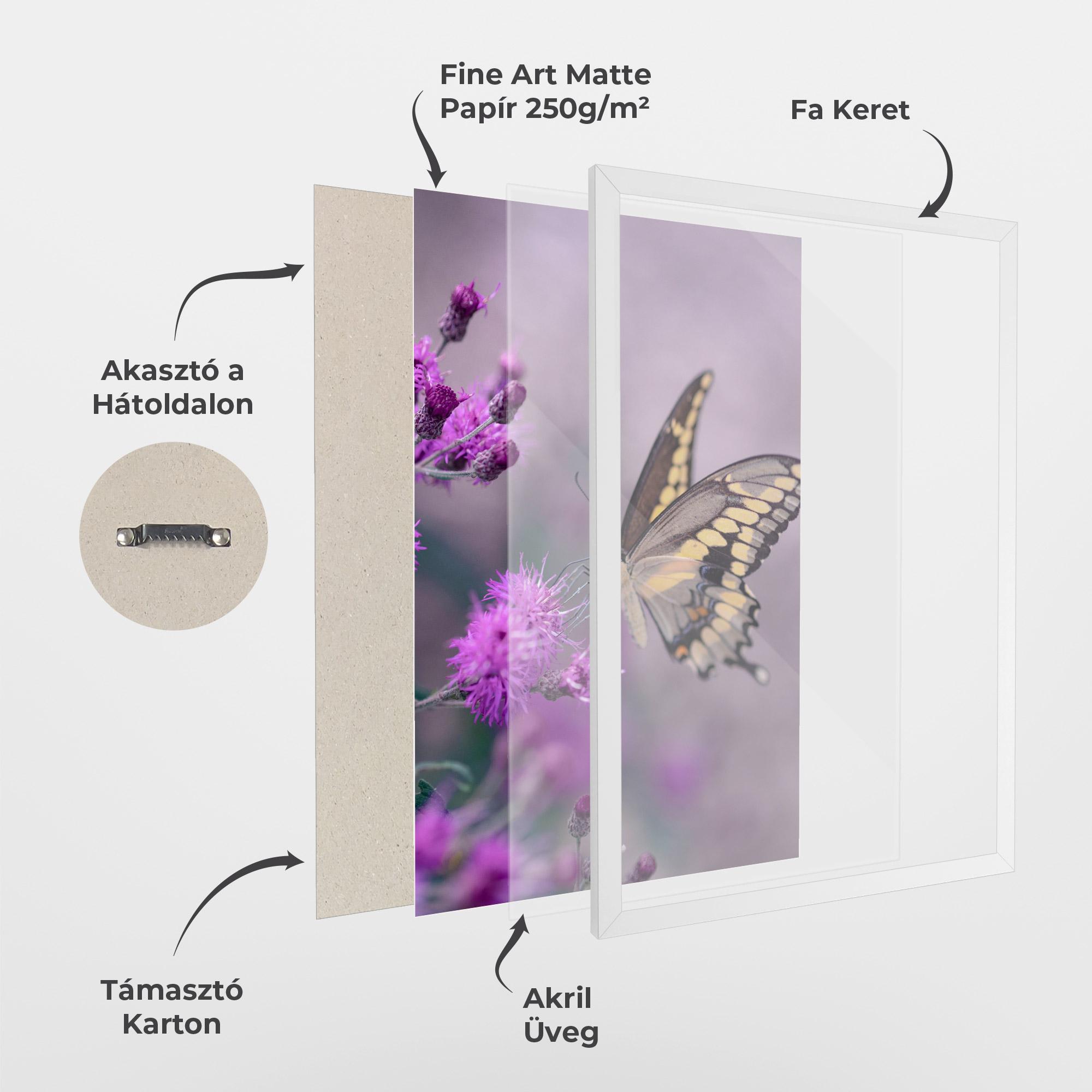 Keretezett Poszter Cream Black Butterfly mockup 1