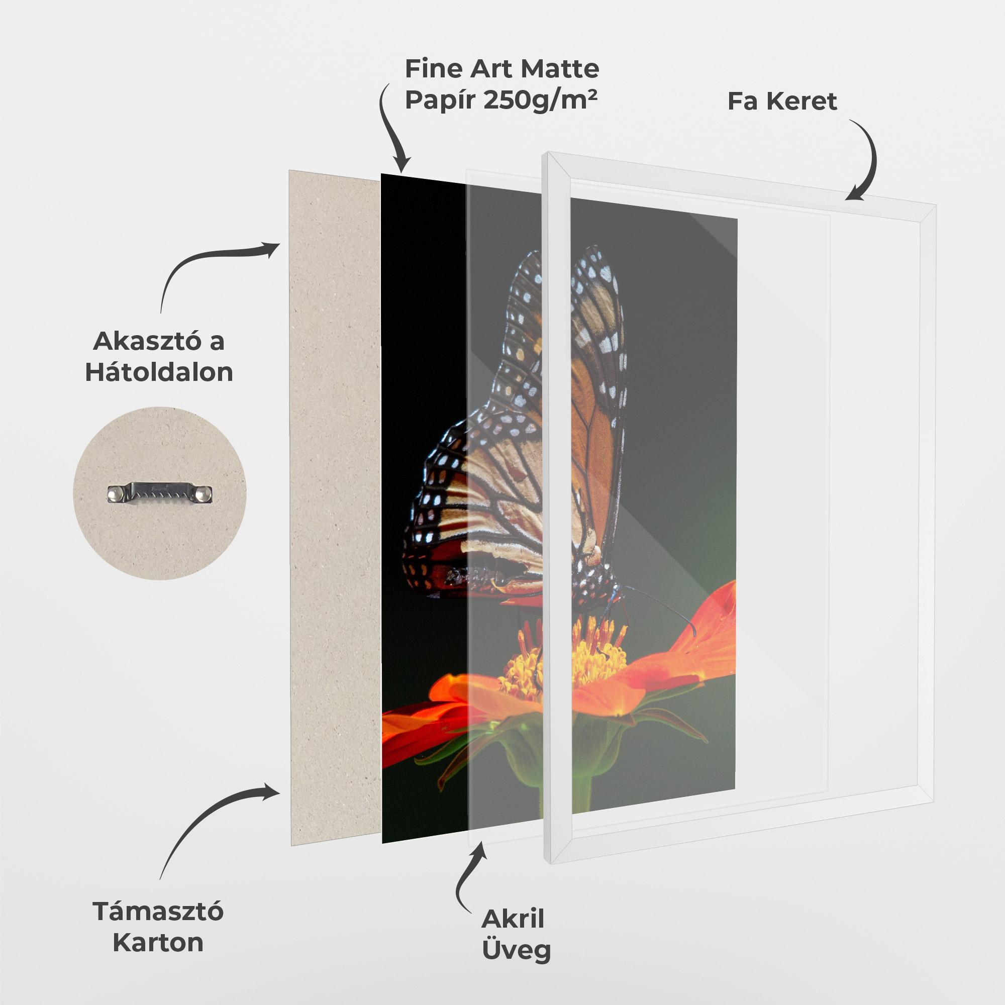 Keretezett Poszter Dark Orange Butterfy mockup 1