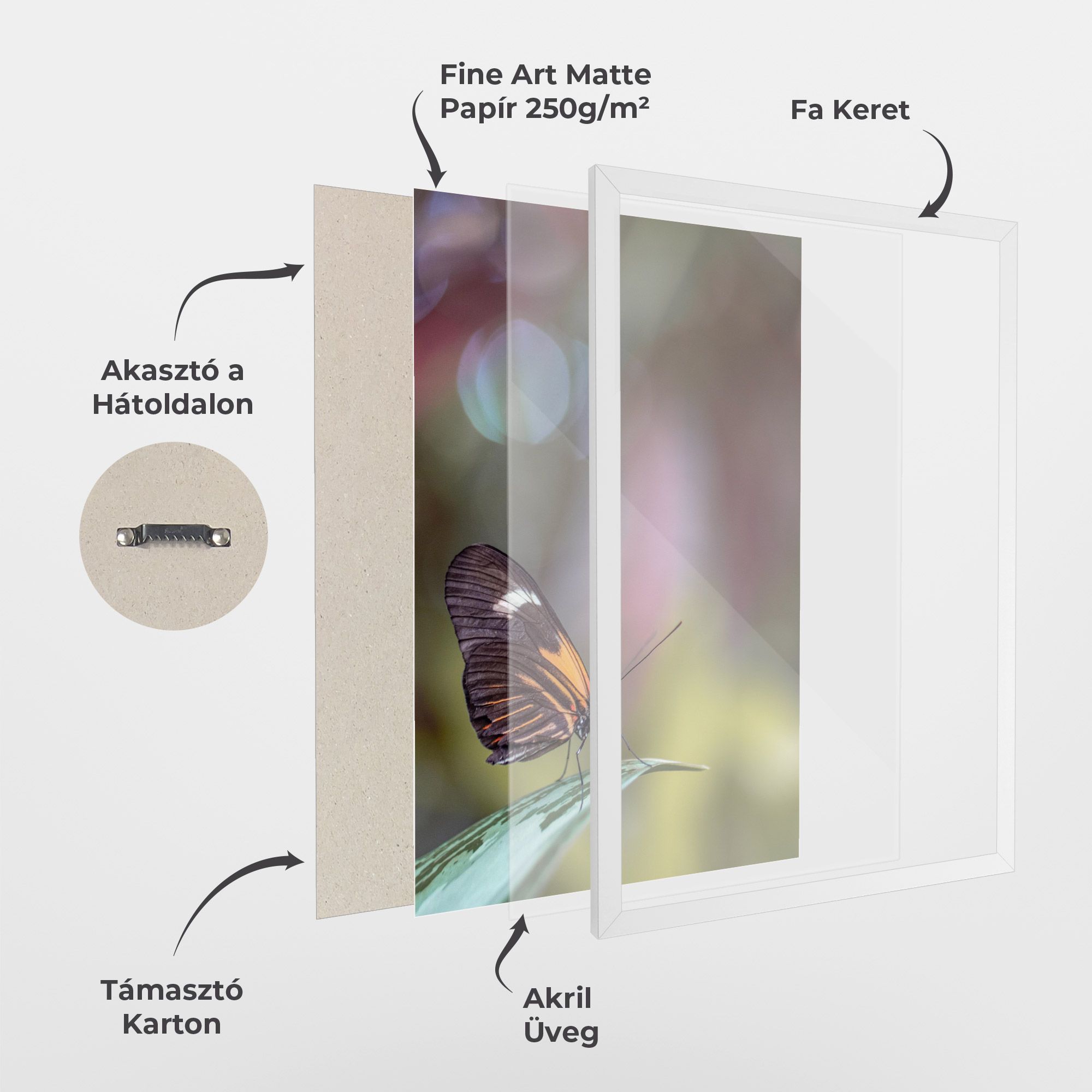 Dark Purple Butterfly mockup 1