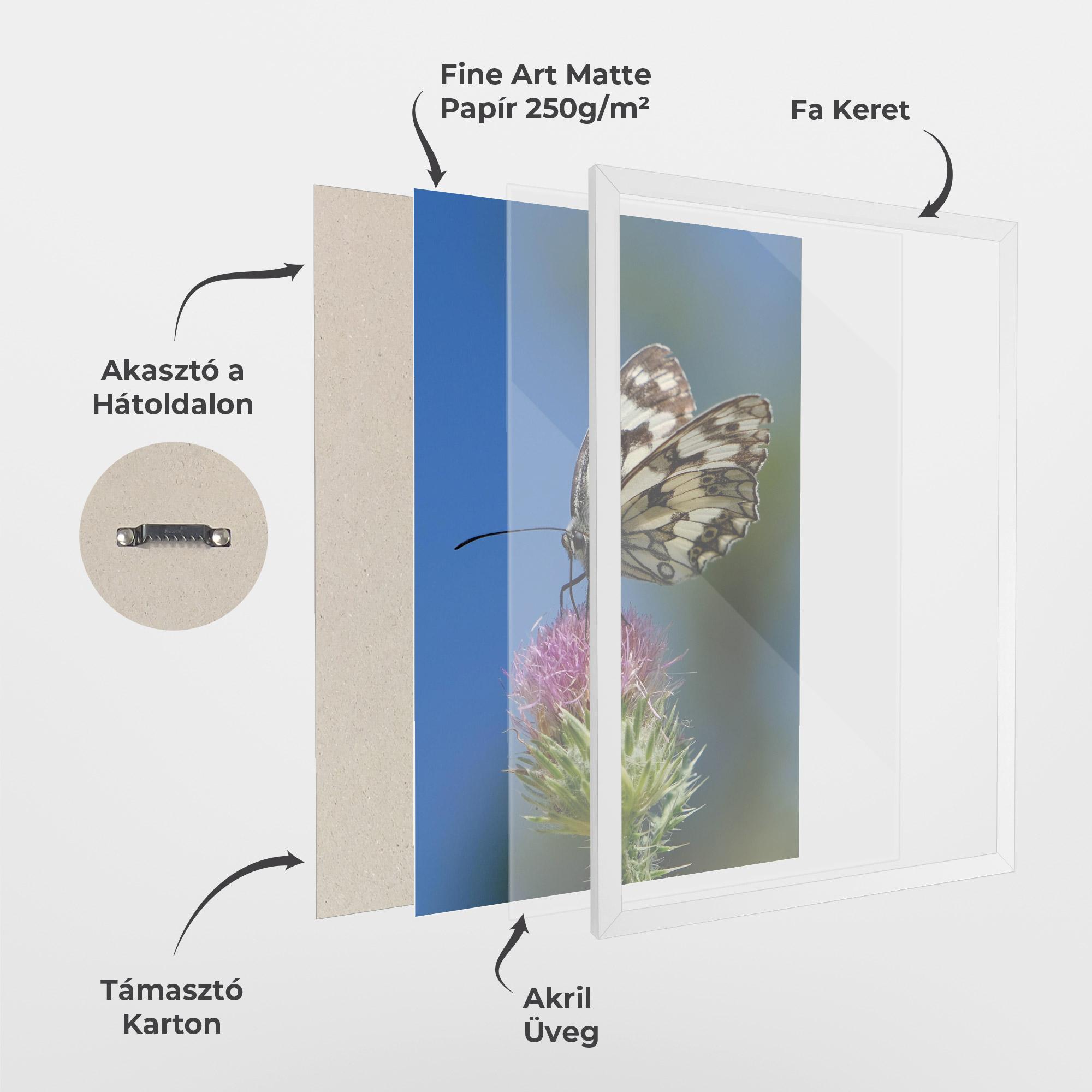 Keretezett Poszter Grey White Butterfly mockup 1