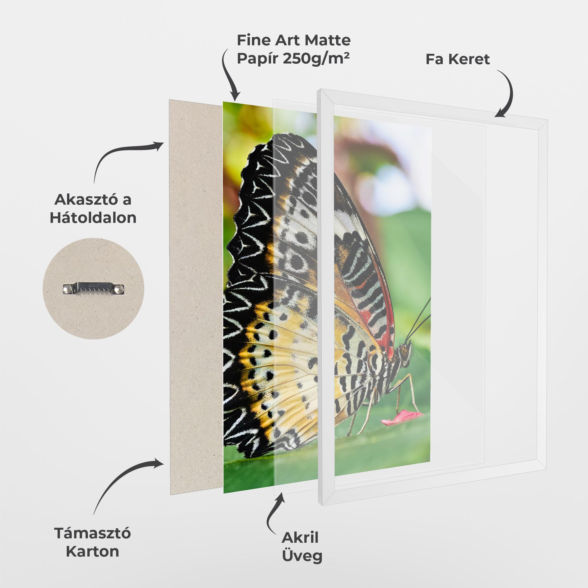 Keretezett Poszter Pretty Colorful Butterfly mockup 1