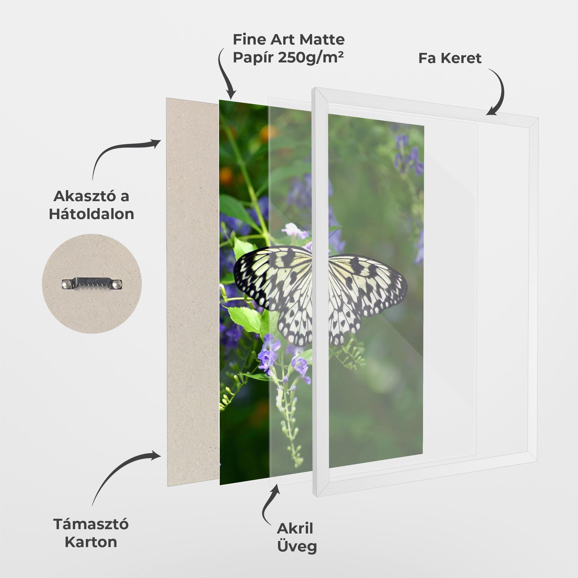 Keretezett Poszter Pretty White Butterfly mockup 1