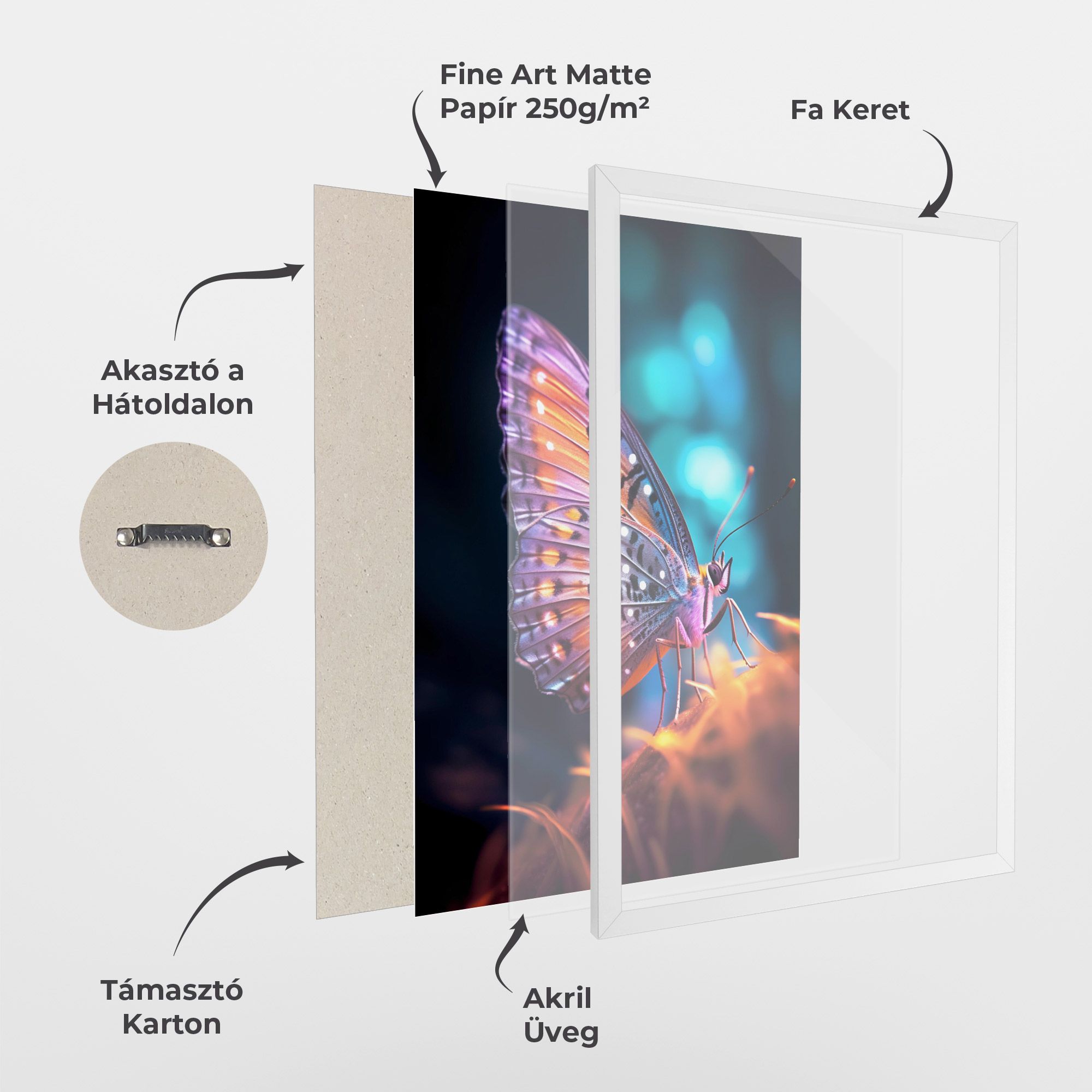 Purple Orange Butterfly mockup 1