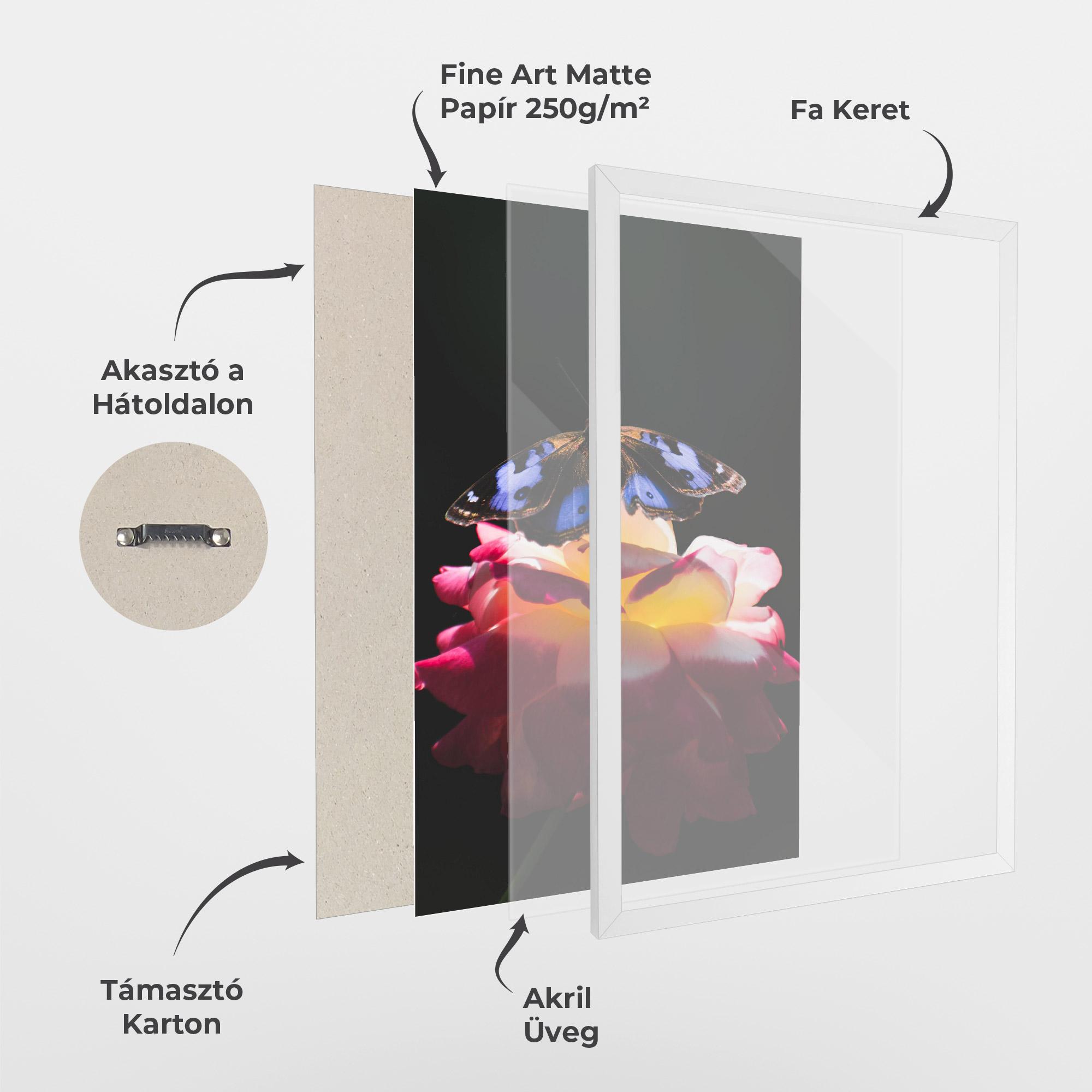Keretezett Poszter Rose Butterfly mockup 1