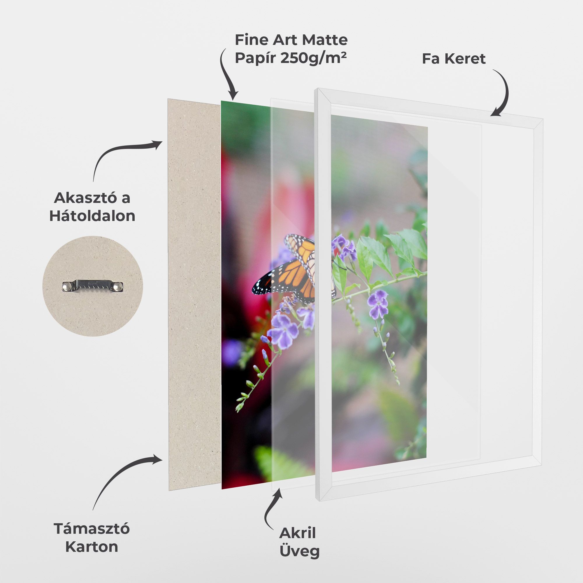 Strong Orange Butterfly mockup 1