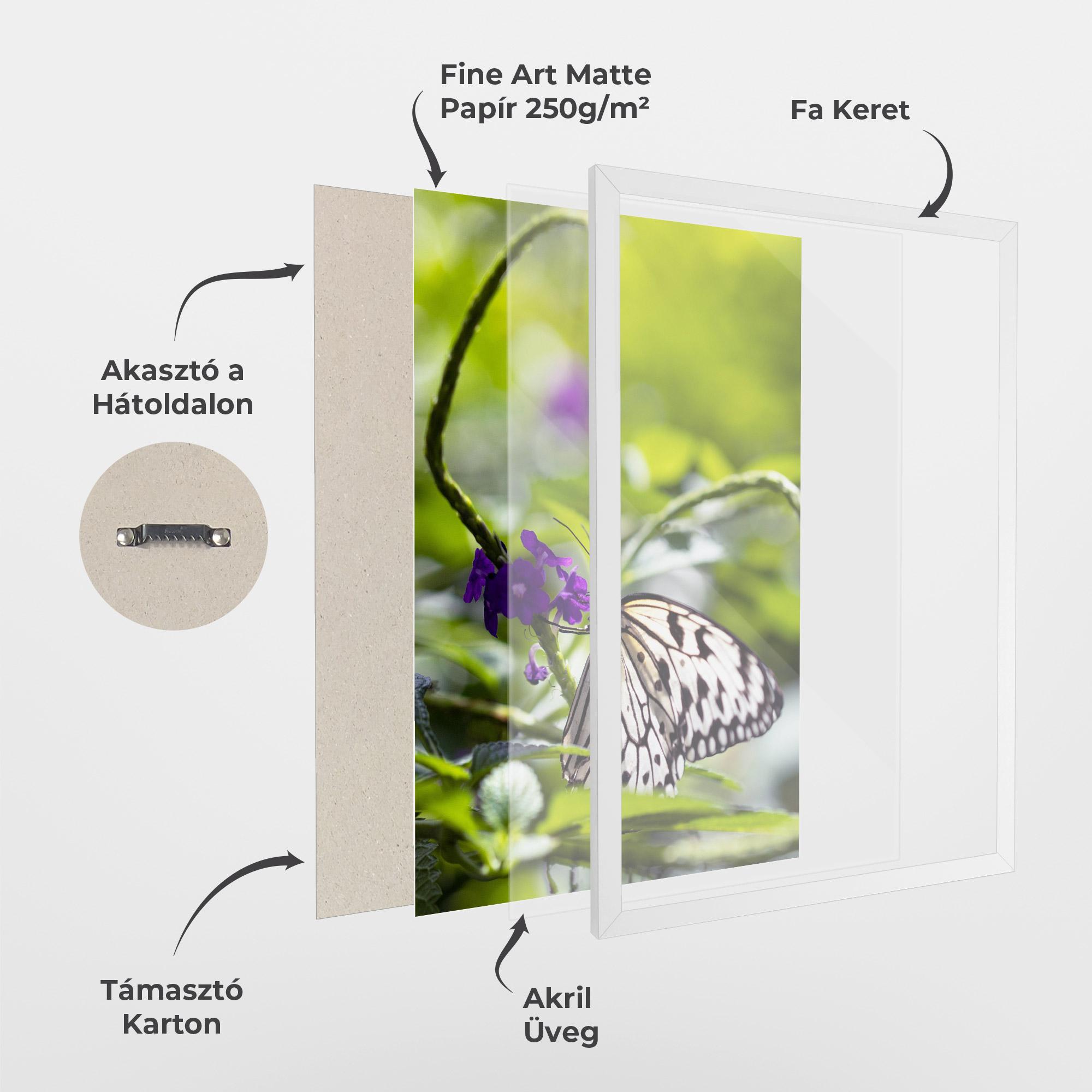 Keretezett Poszter White Black Butterfly mockup 1